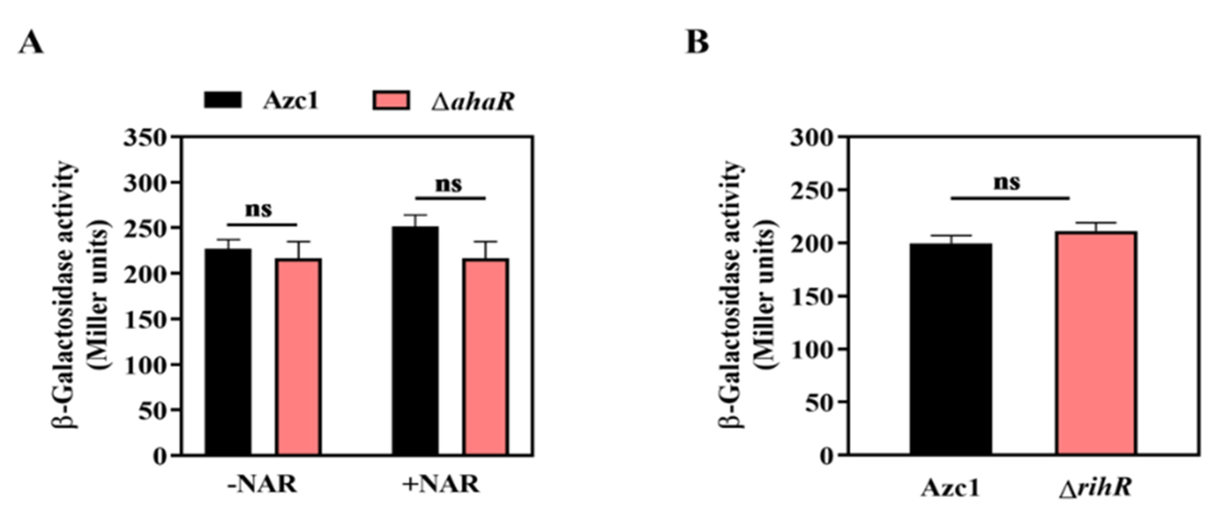 Genes 13 01895 g006 Genes 13 01895 g006