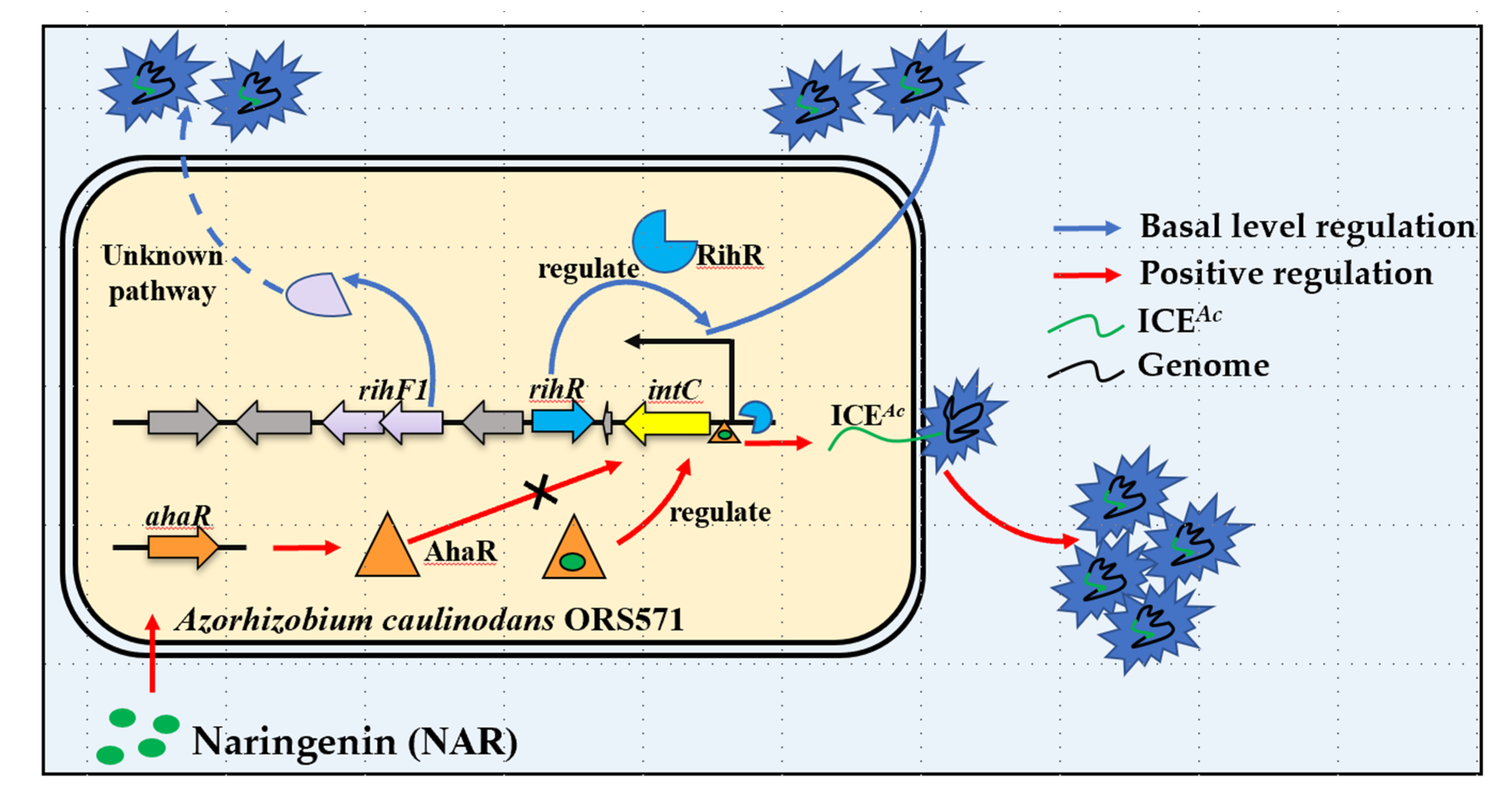 Genes 13 01895 g007 Genes 13 01895 g007
