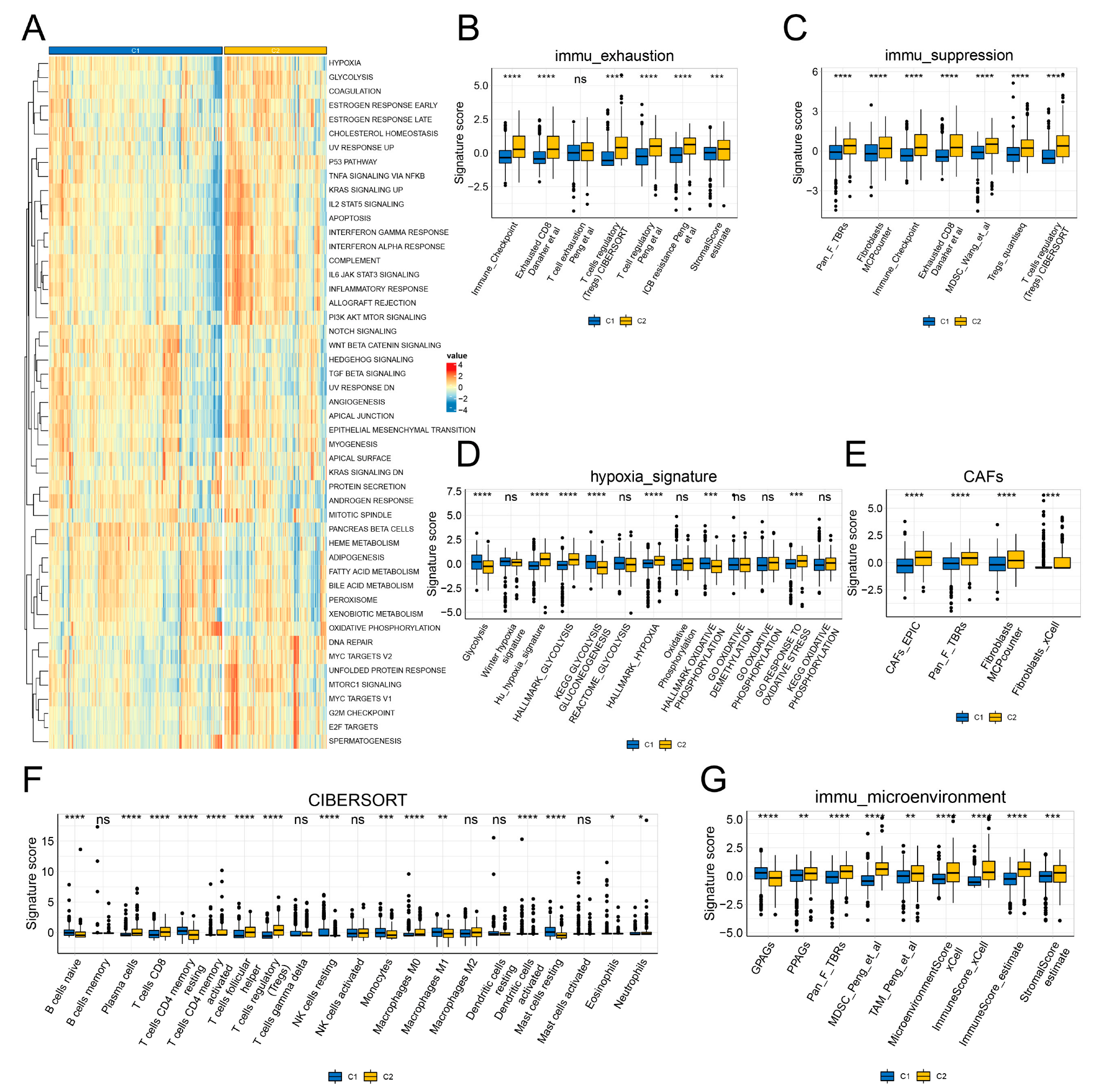 Genes 13 01897 g003 Genes 13 01897 g003