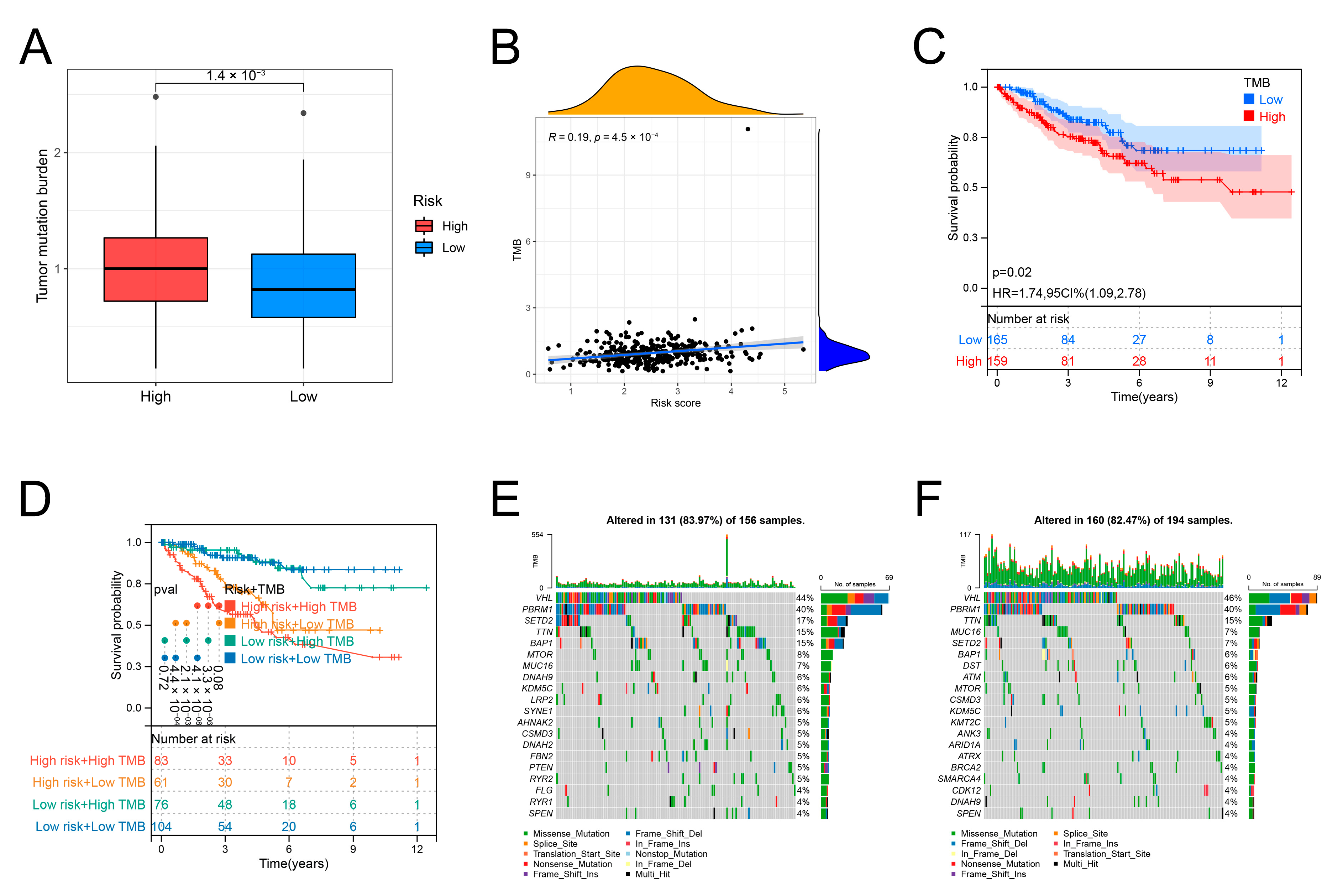 Genes 13 01897 g009 Genes 13 01897 g009