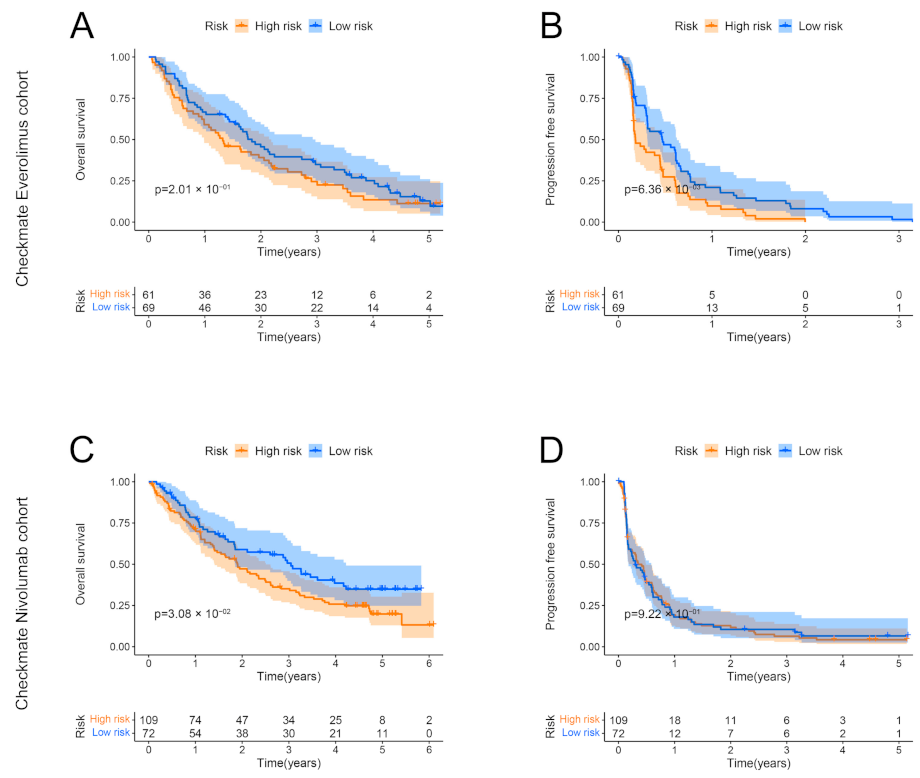 Genes 13 01897 g010 Genes 13 01897 g010