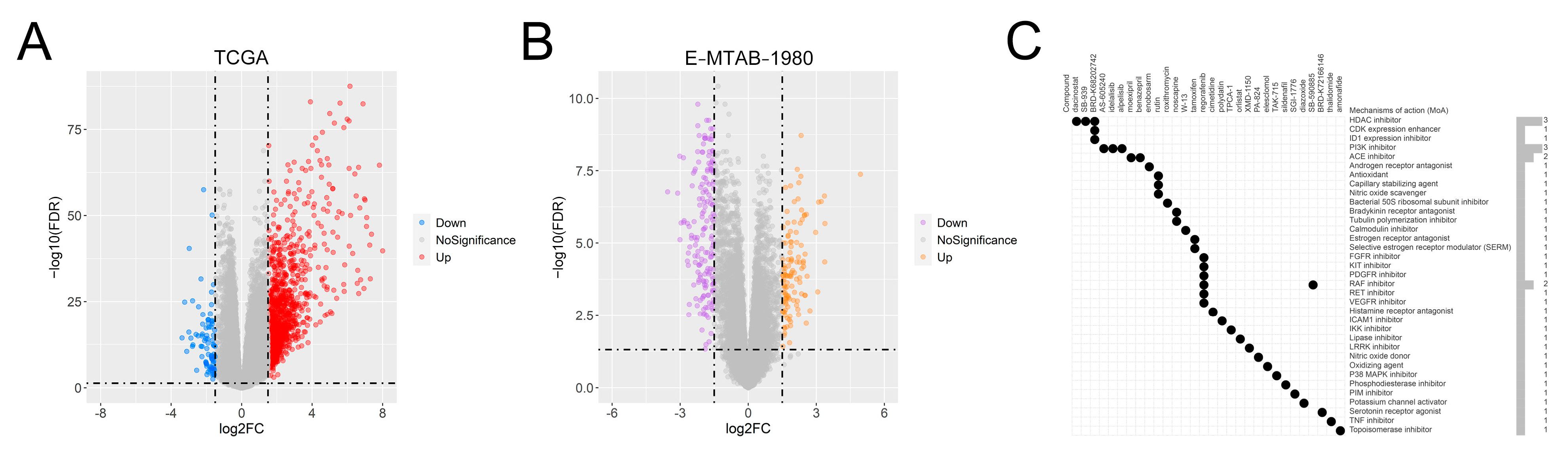 Genes 13 01897 g011 Genes 13 01897 g011