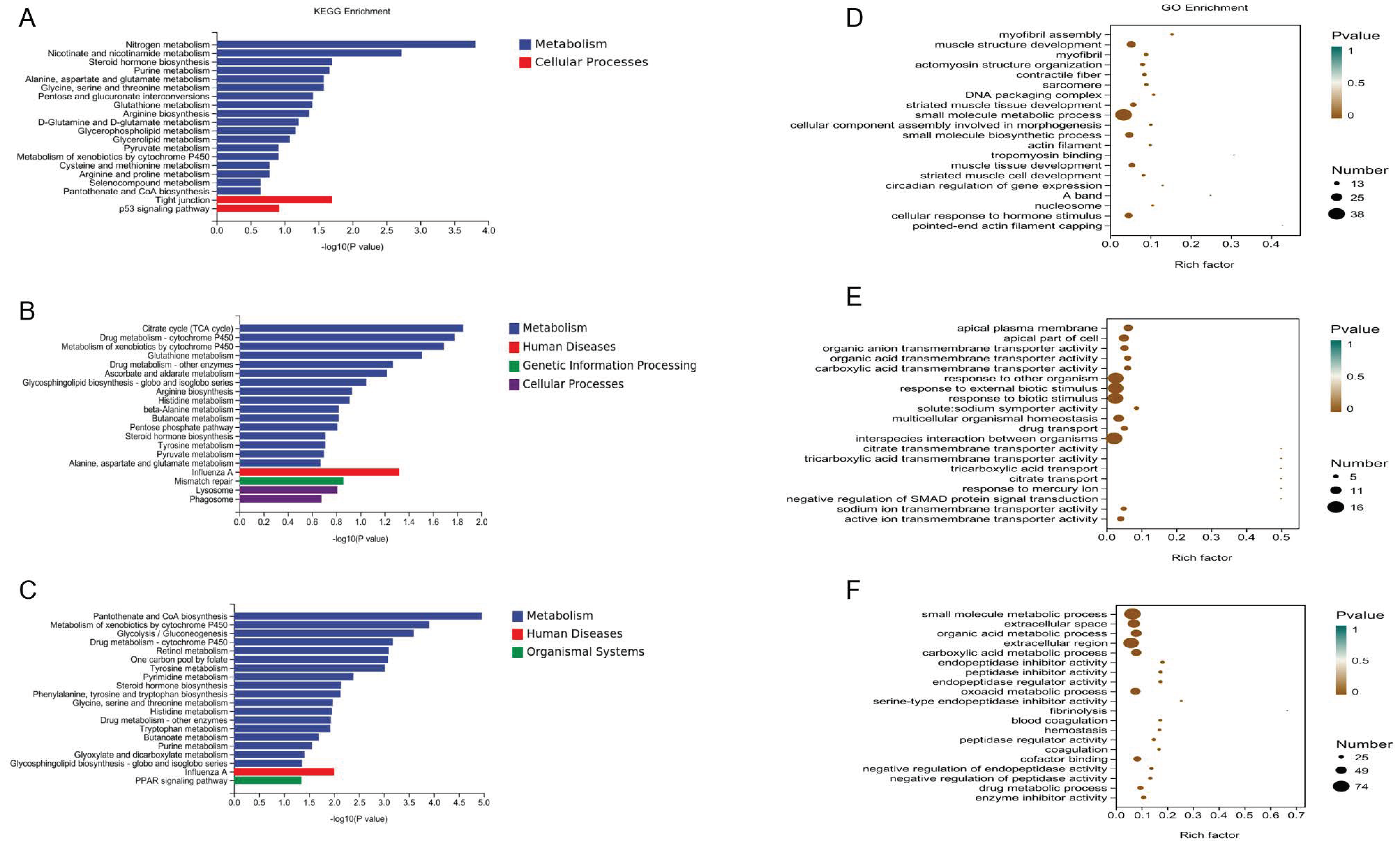 Genes 13 01898 g002 Genes 13 01898 g002