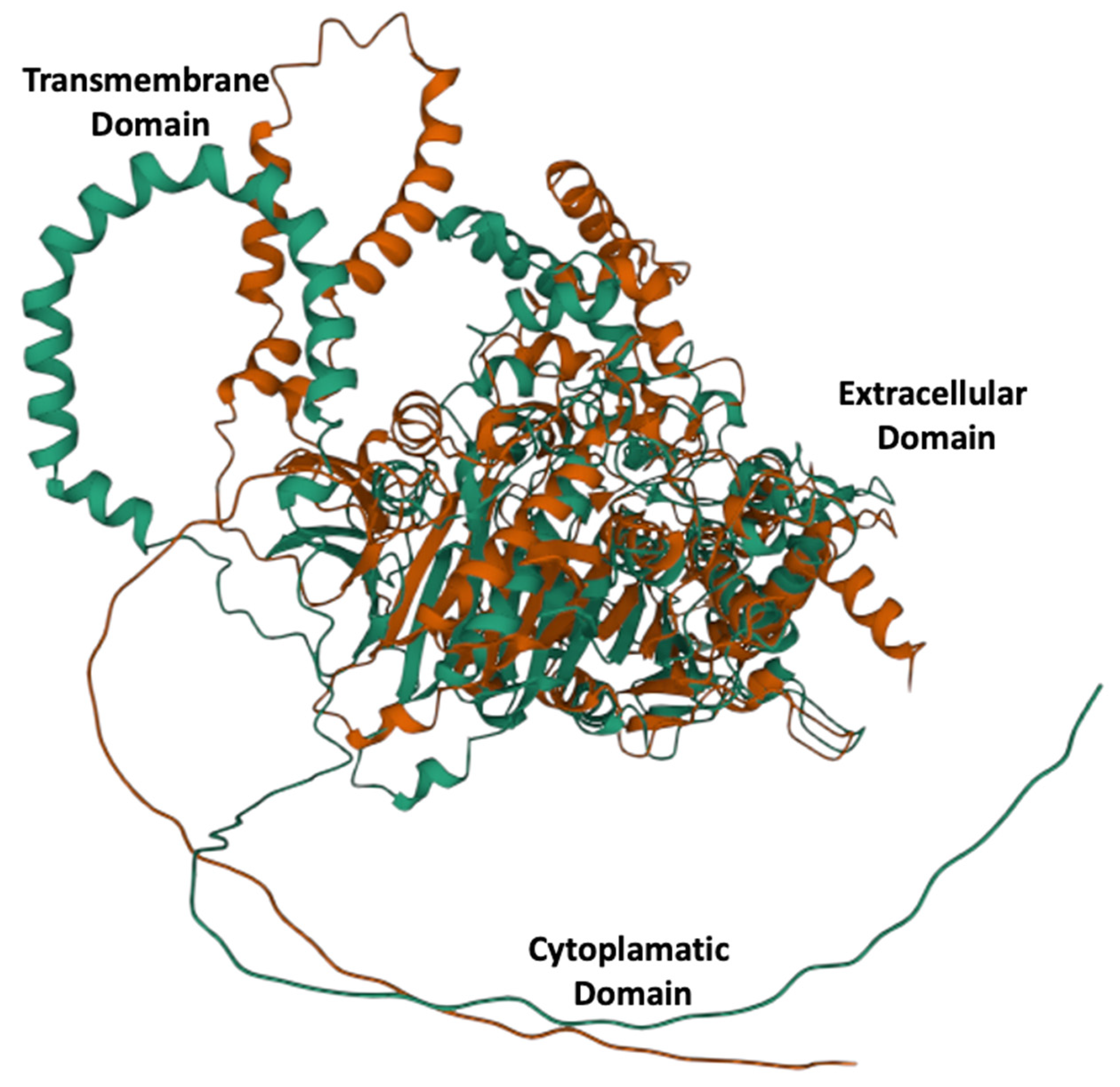 Genes 13 01899 g001 Genes 13 01899 g001