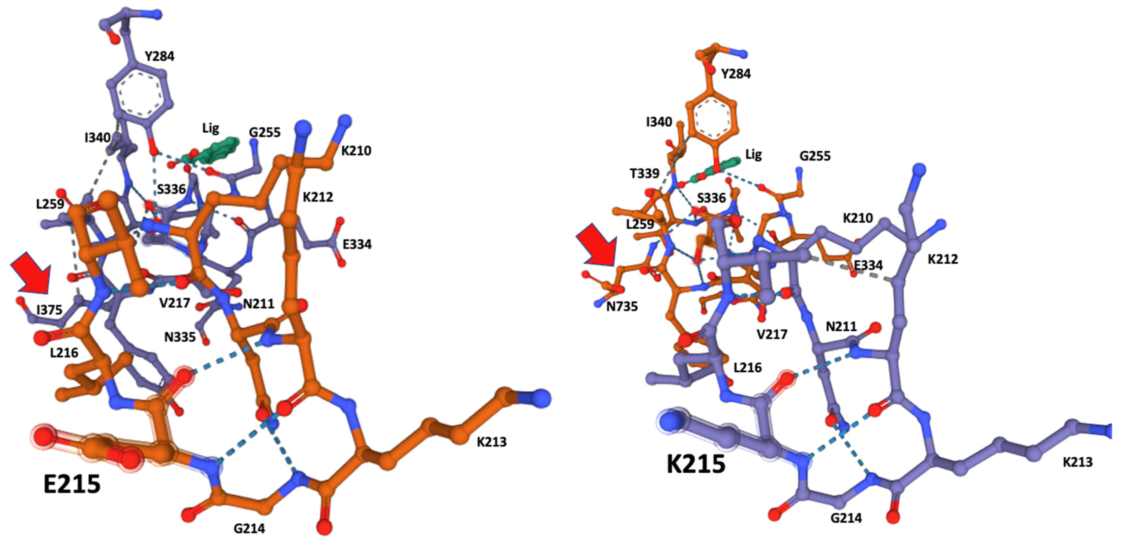 Genes 13 01899 g002 Genes 13 01899 g002