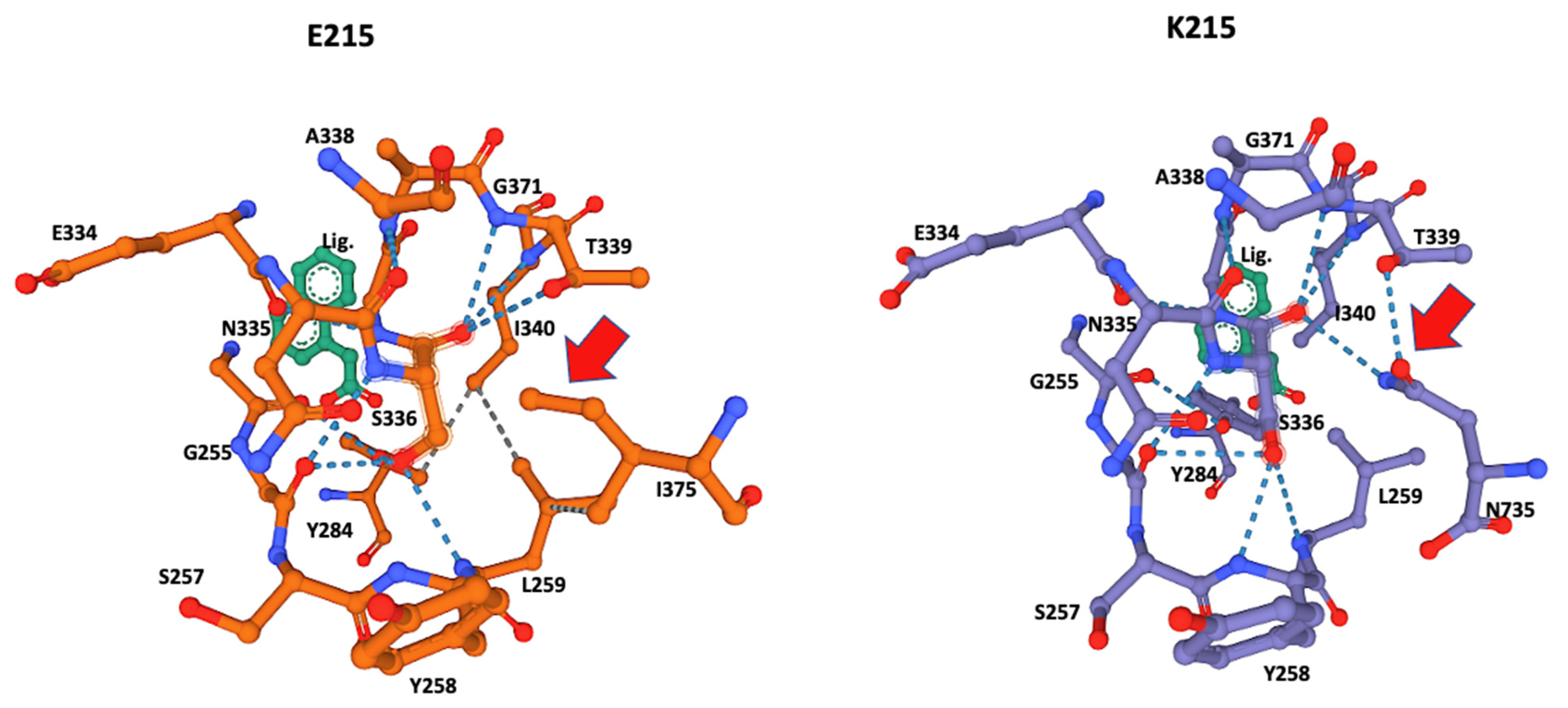 Genes 13 01899 g003 Genes 13 01899 g003