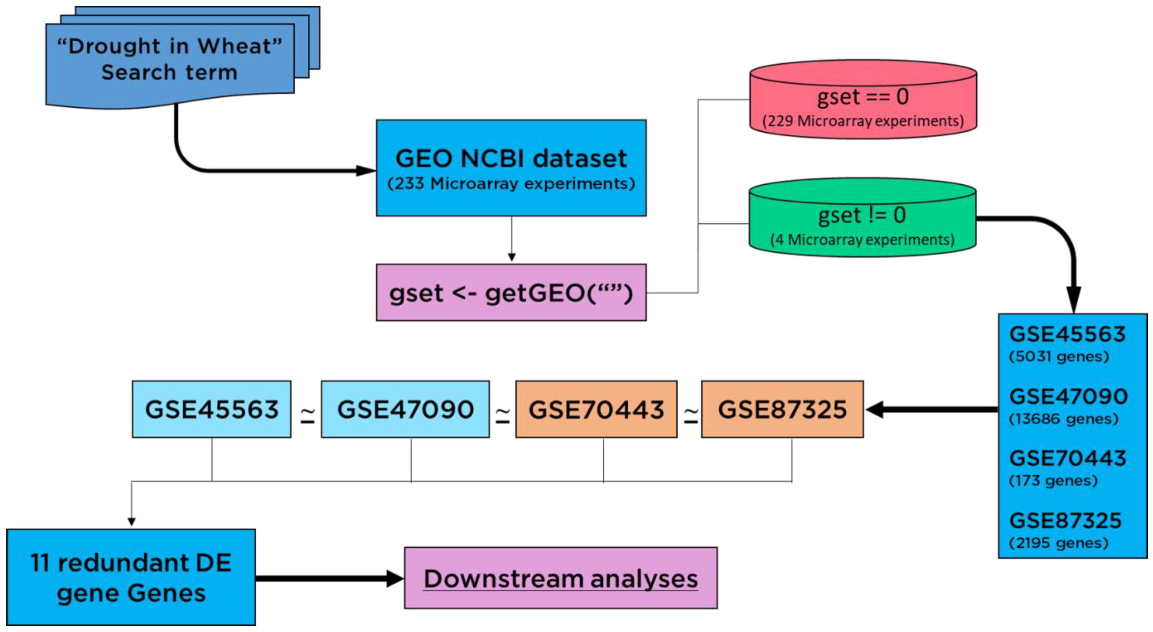Genes 13 01906 g001 Genes 13 01906 g001