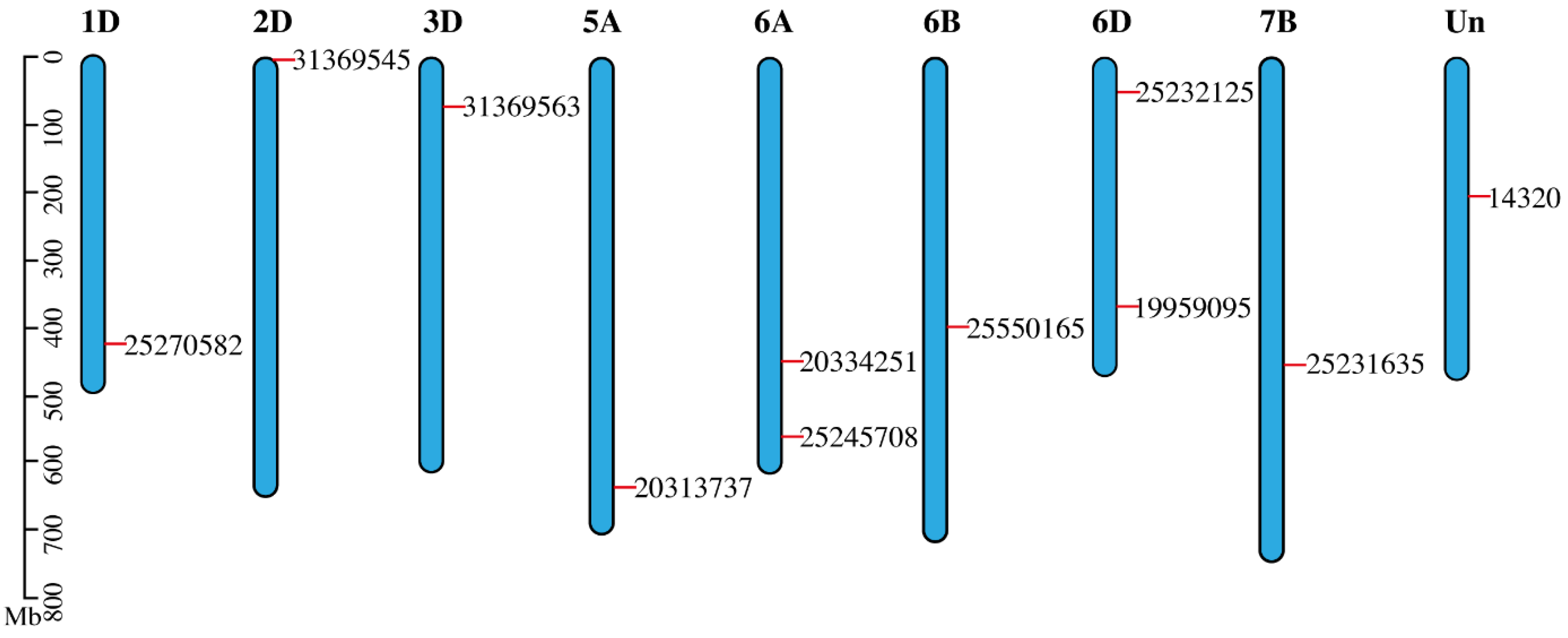 Genes 13 01906 g003 Genes 13 01906 g003