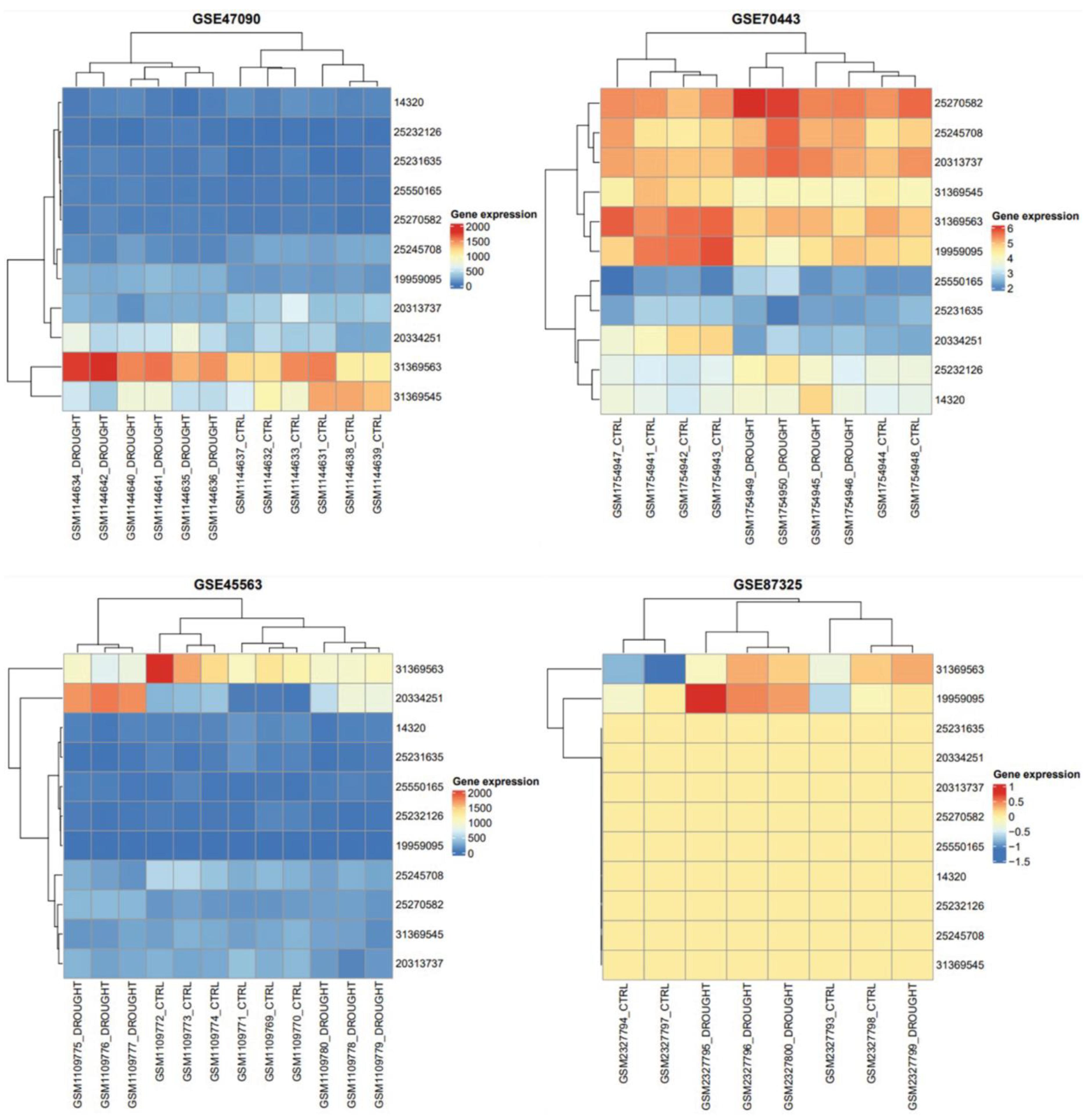 Genes 13 01906 g004 Genes 13 01906 g004