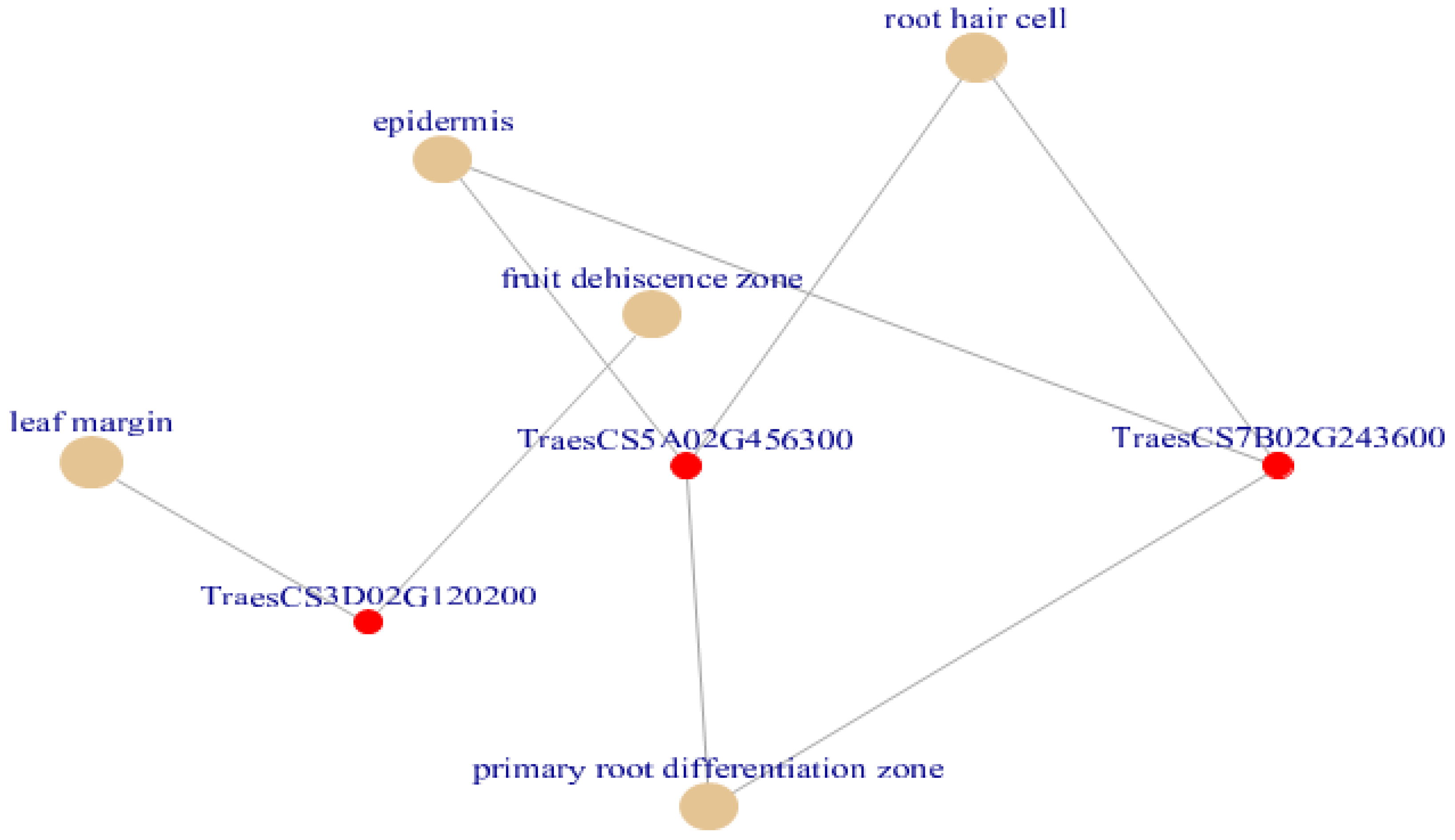 Genes 13 01906 g007 Genes 13 01906 g007