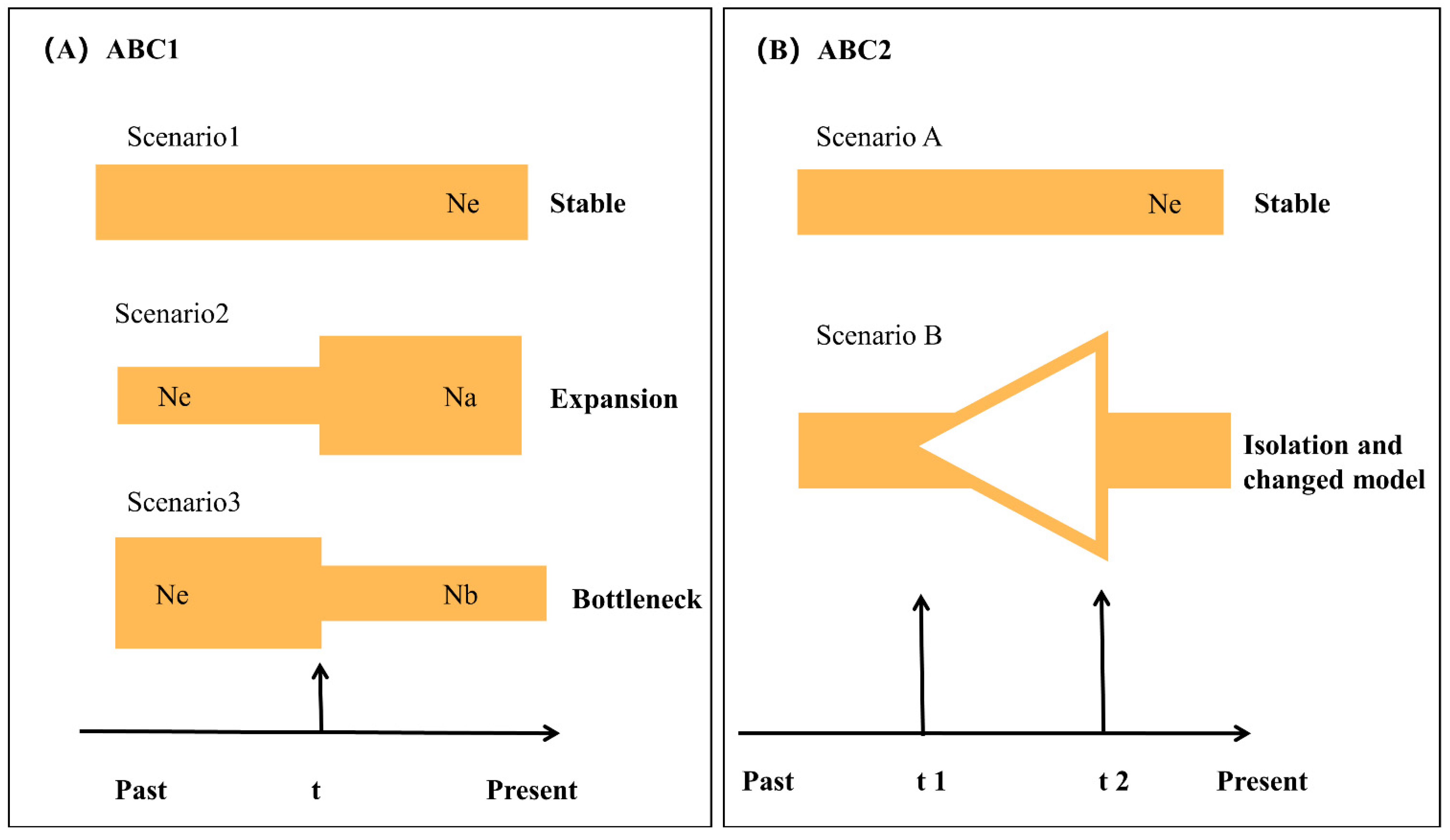 Genes 13 01908 g002 Genes 13 01908 g002