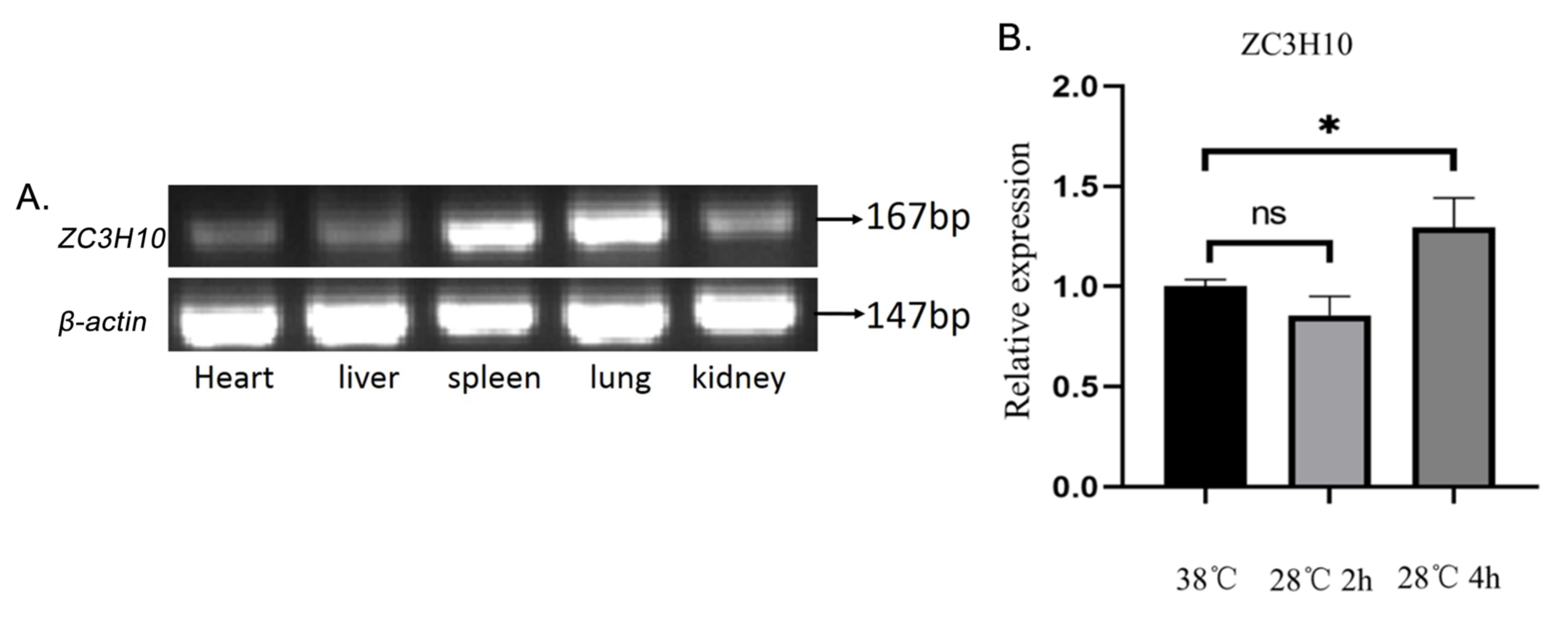 Genes 13 01910 g002 Genes 13 01910 g002