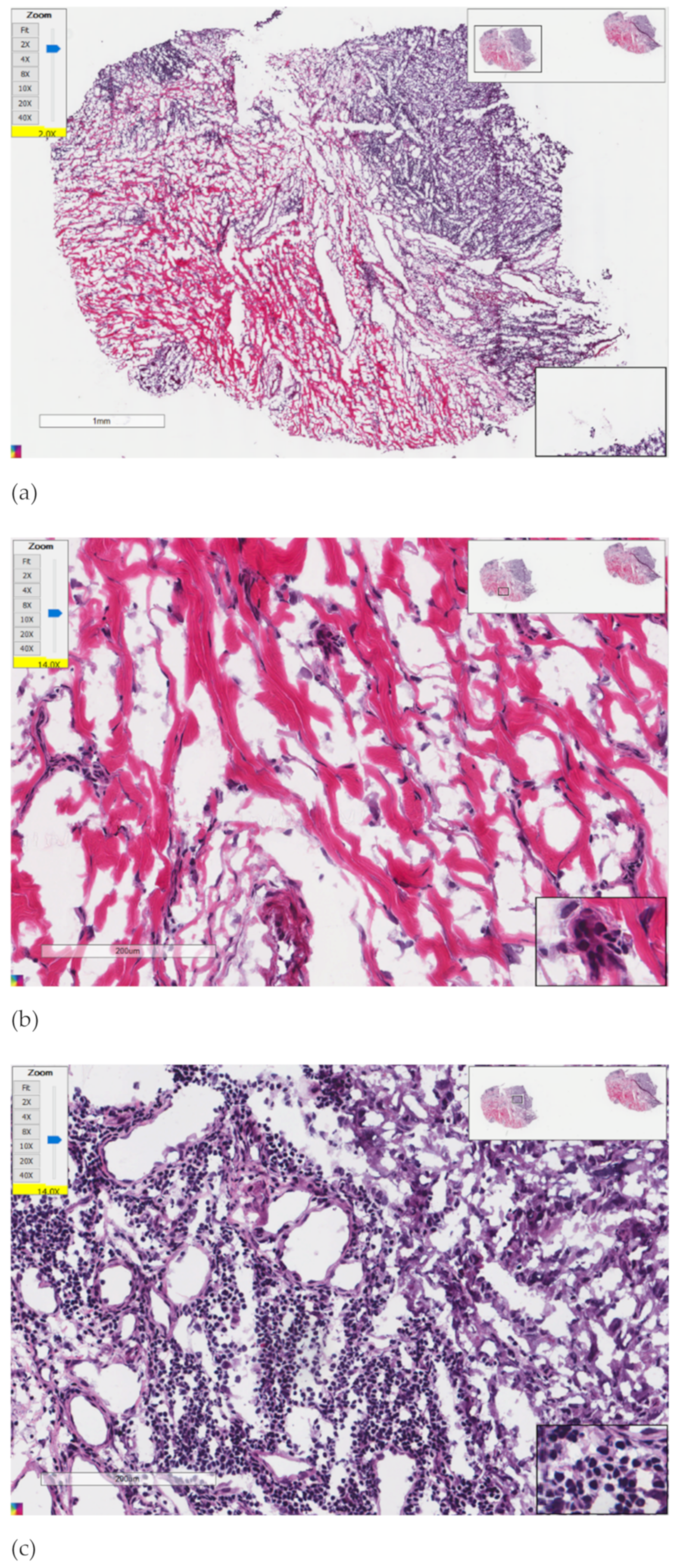 Genes 13 01916 g001 Genes 13 01916 g001