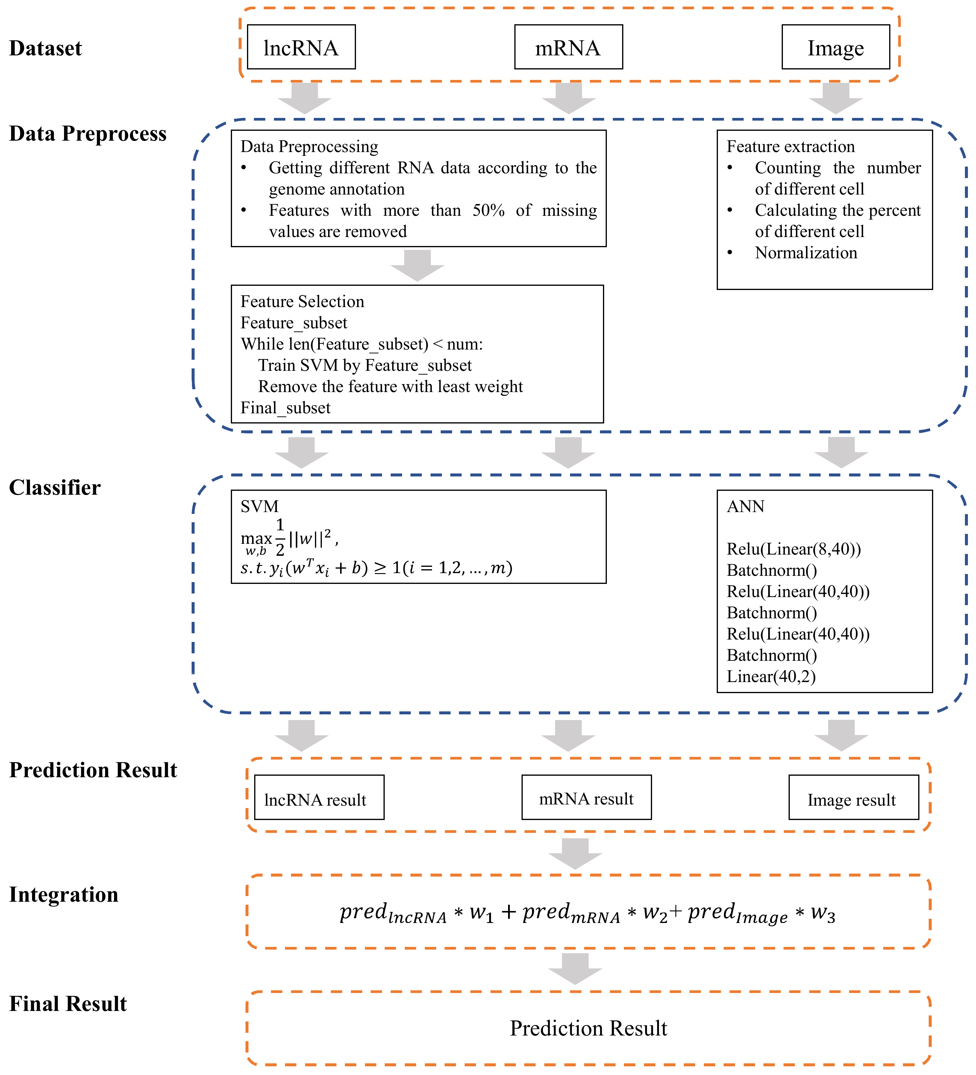 Genes 13 01916 g002 Genes 13 01916 g002