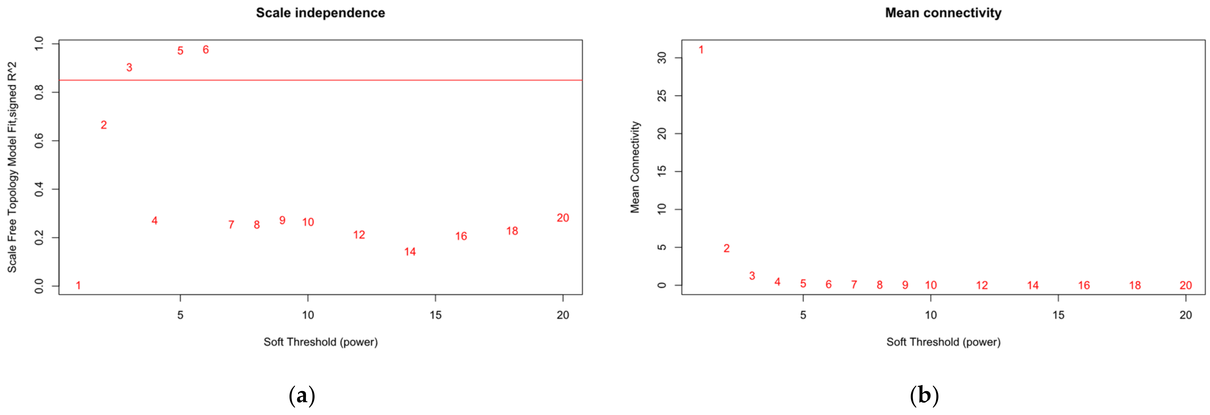 Genes 13 01916 g007a Genes 13 01916 g007a