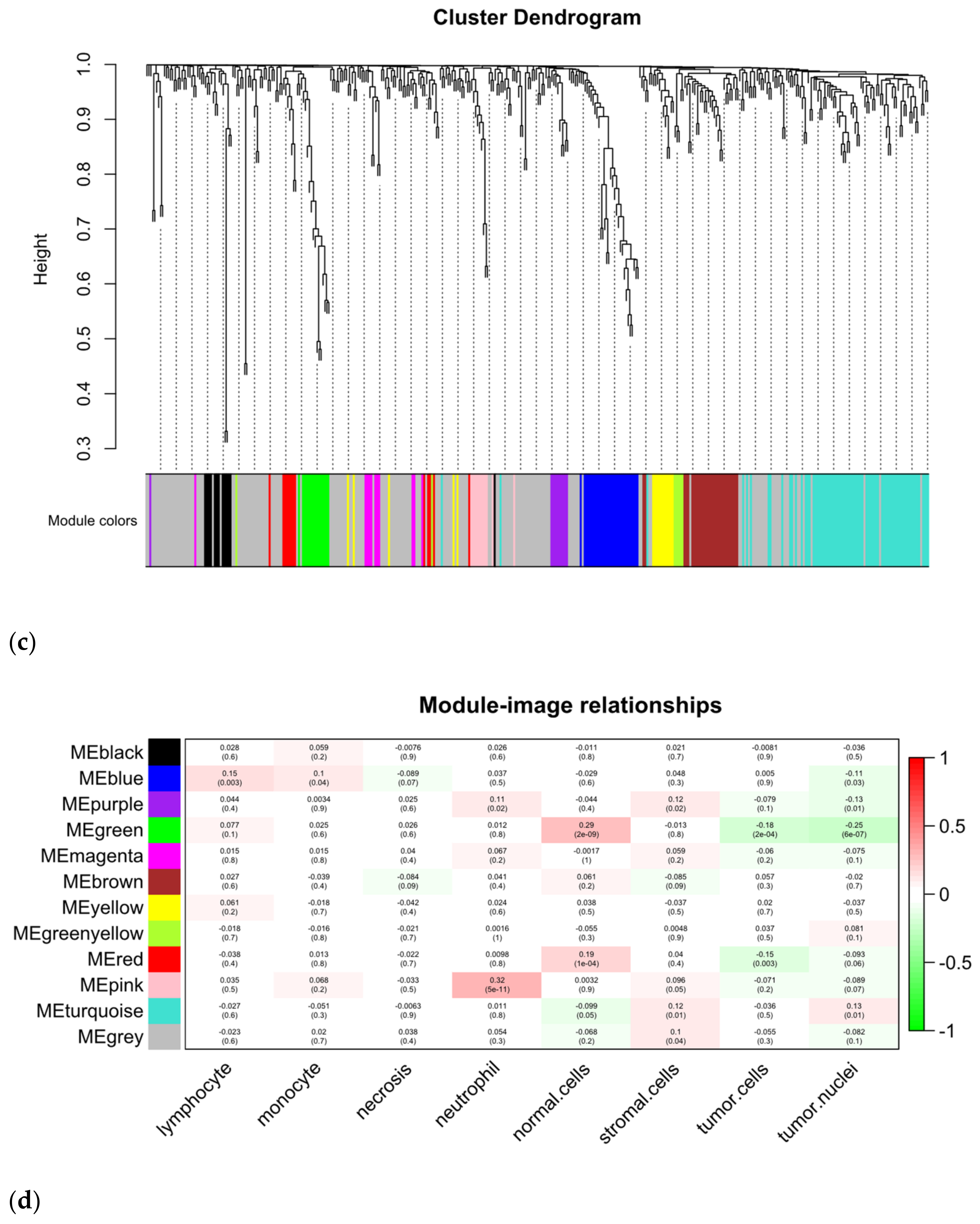 Genes 13 01916 g007b Genes 13 01916 g007b