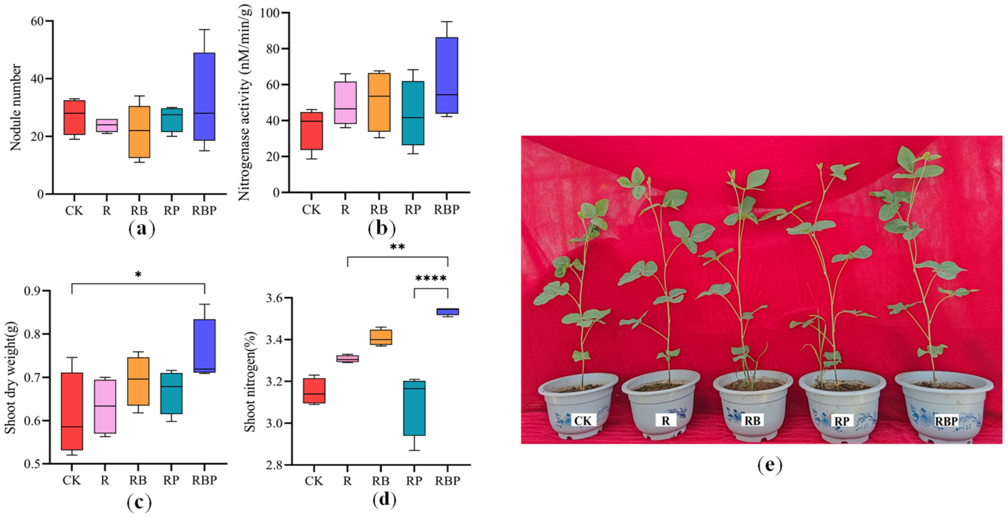 Genes 13 01922 g001 Genes 13 01922 g001