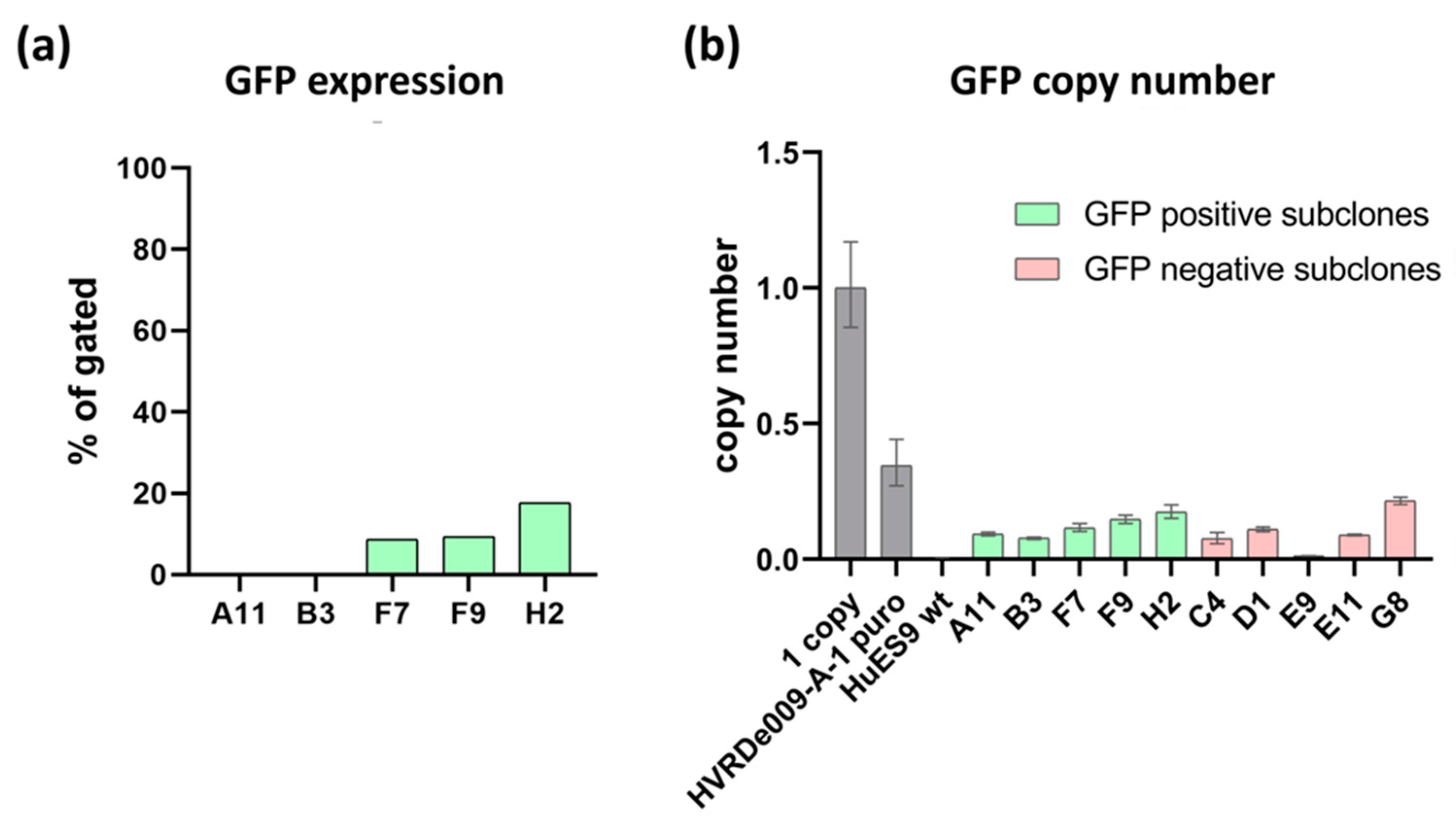 Genes 13 01925 g001 Genes 13 01925 g001