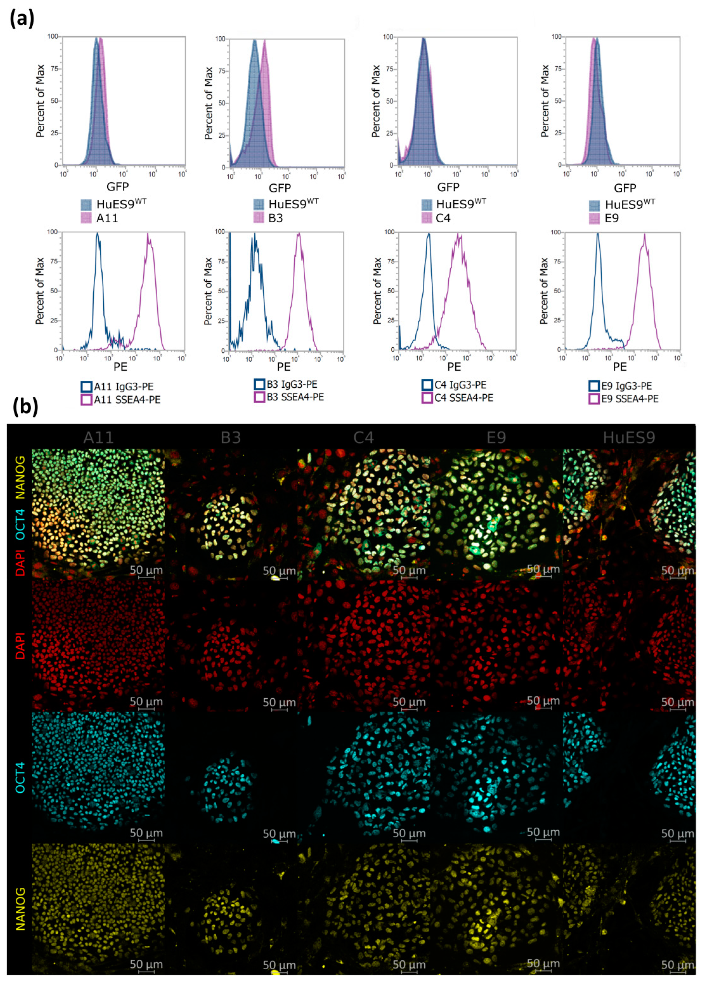 Genes 13 01925 g002 Genes 13 01925 g002
