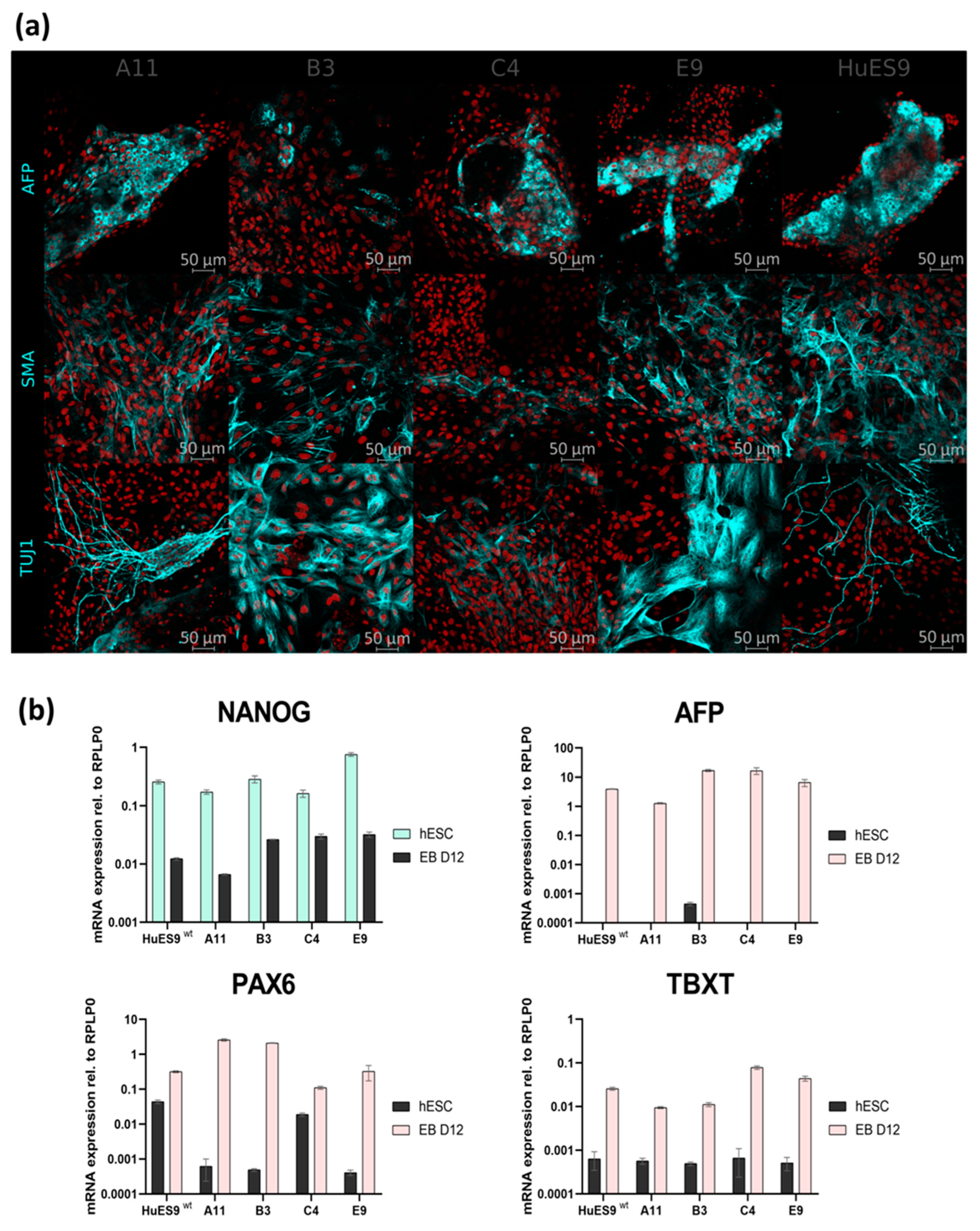 Genes 13 01925 g003 Genes 13 01925 g003