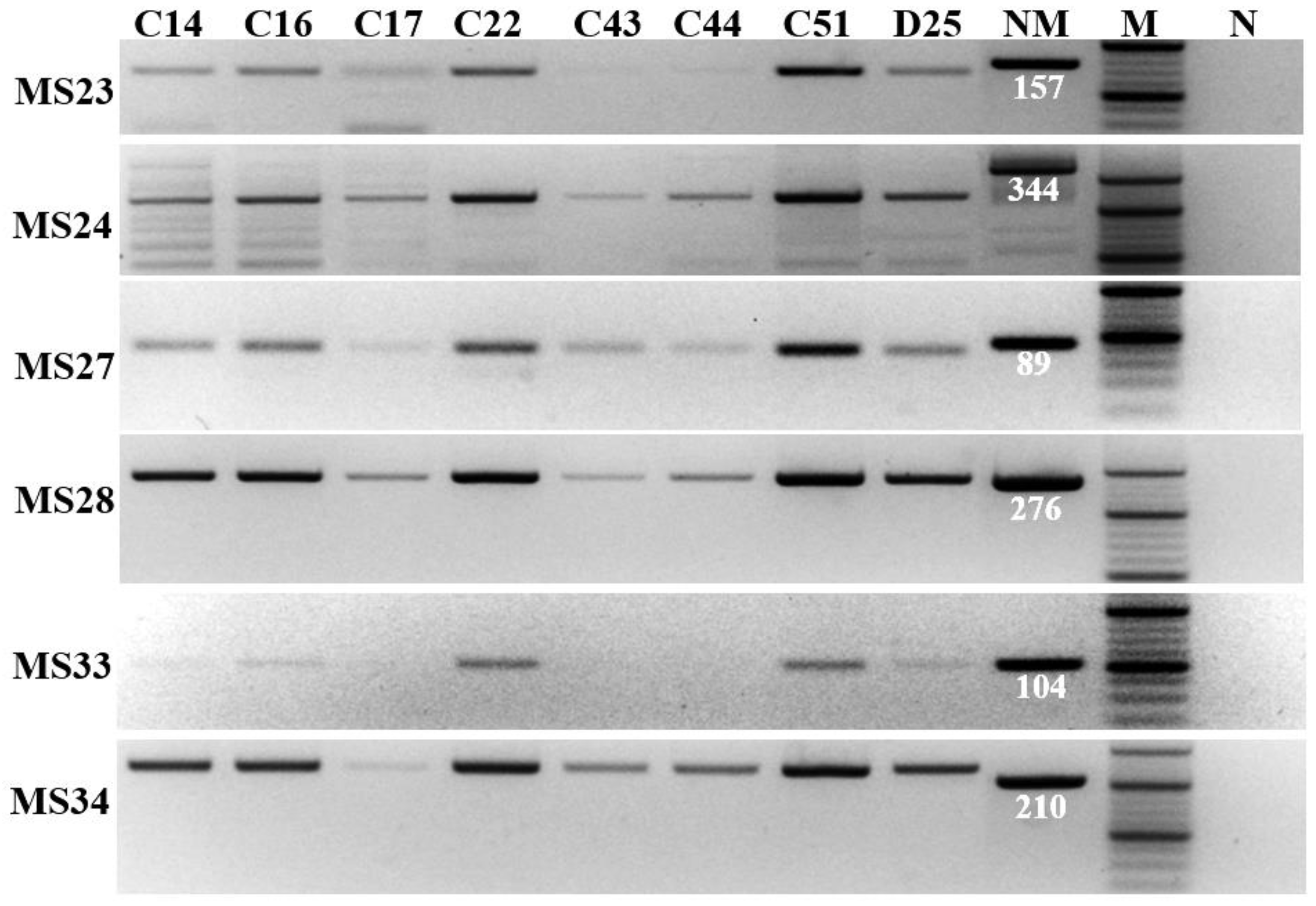 Genes 13 01927 g001