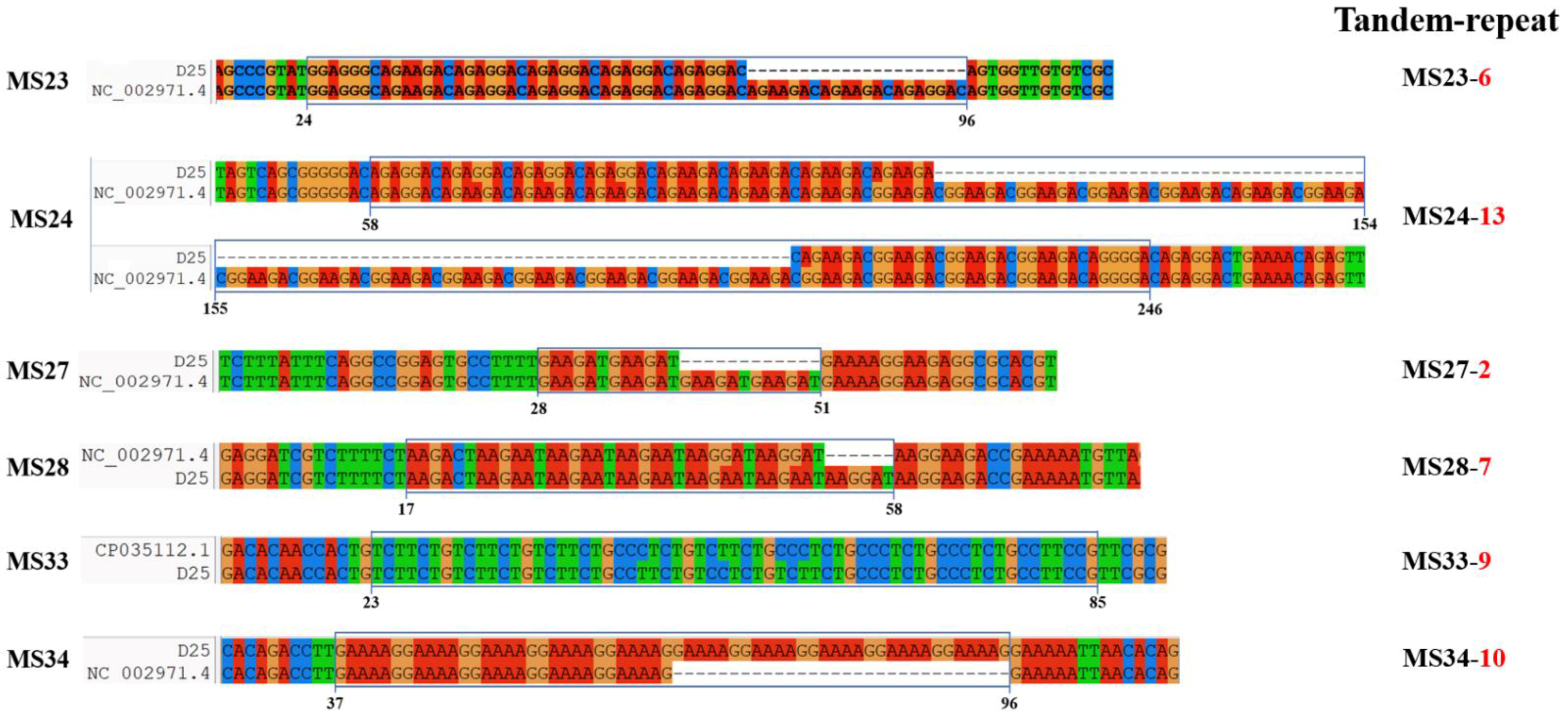 Genes 13 01927 g002