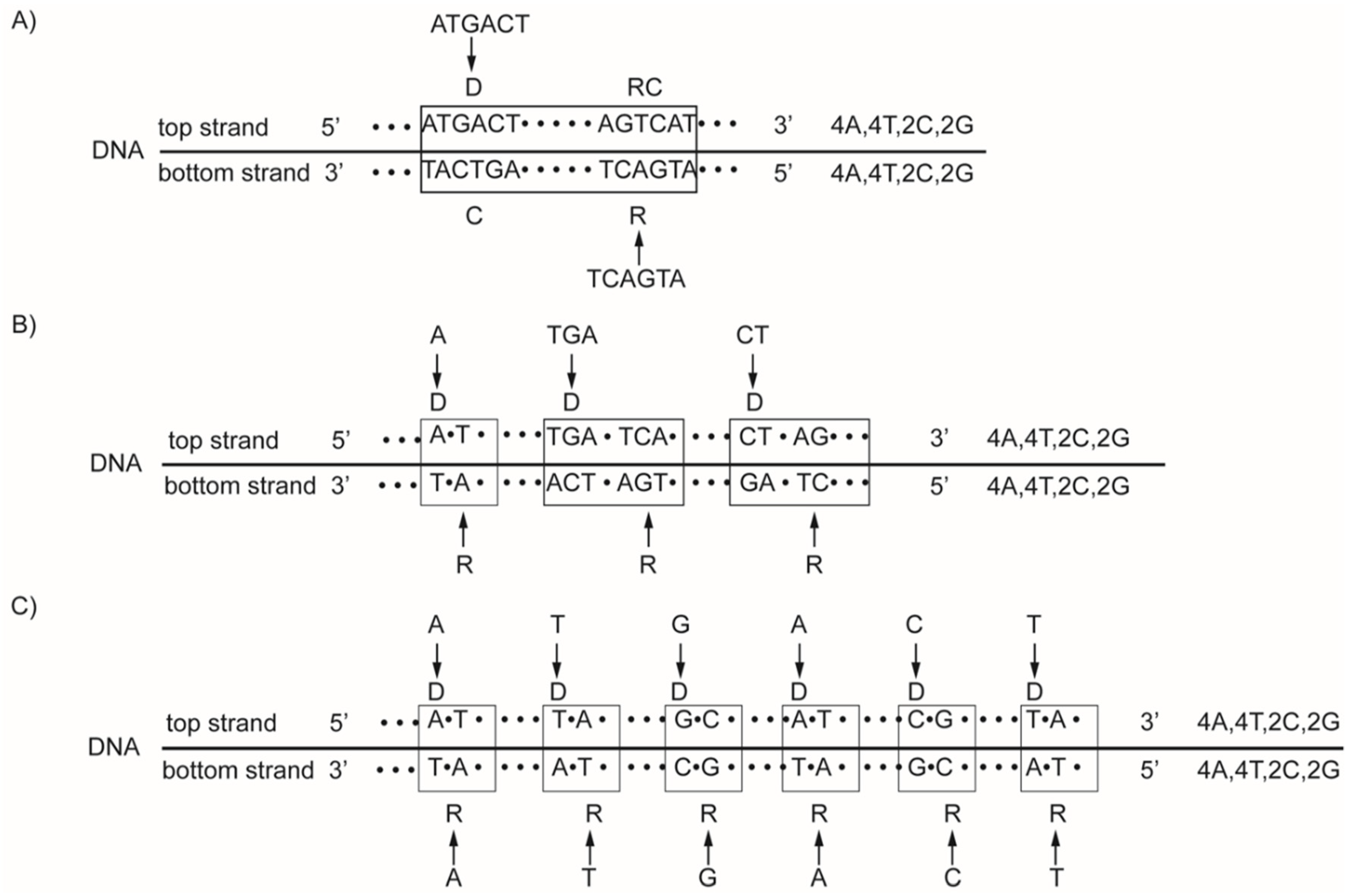 Genes 13 01929 g001 Genes 13 01929 g001
