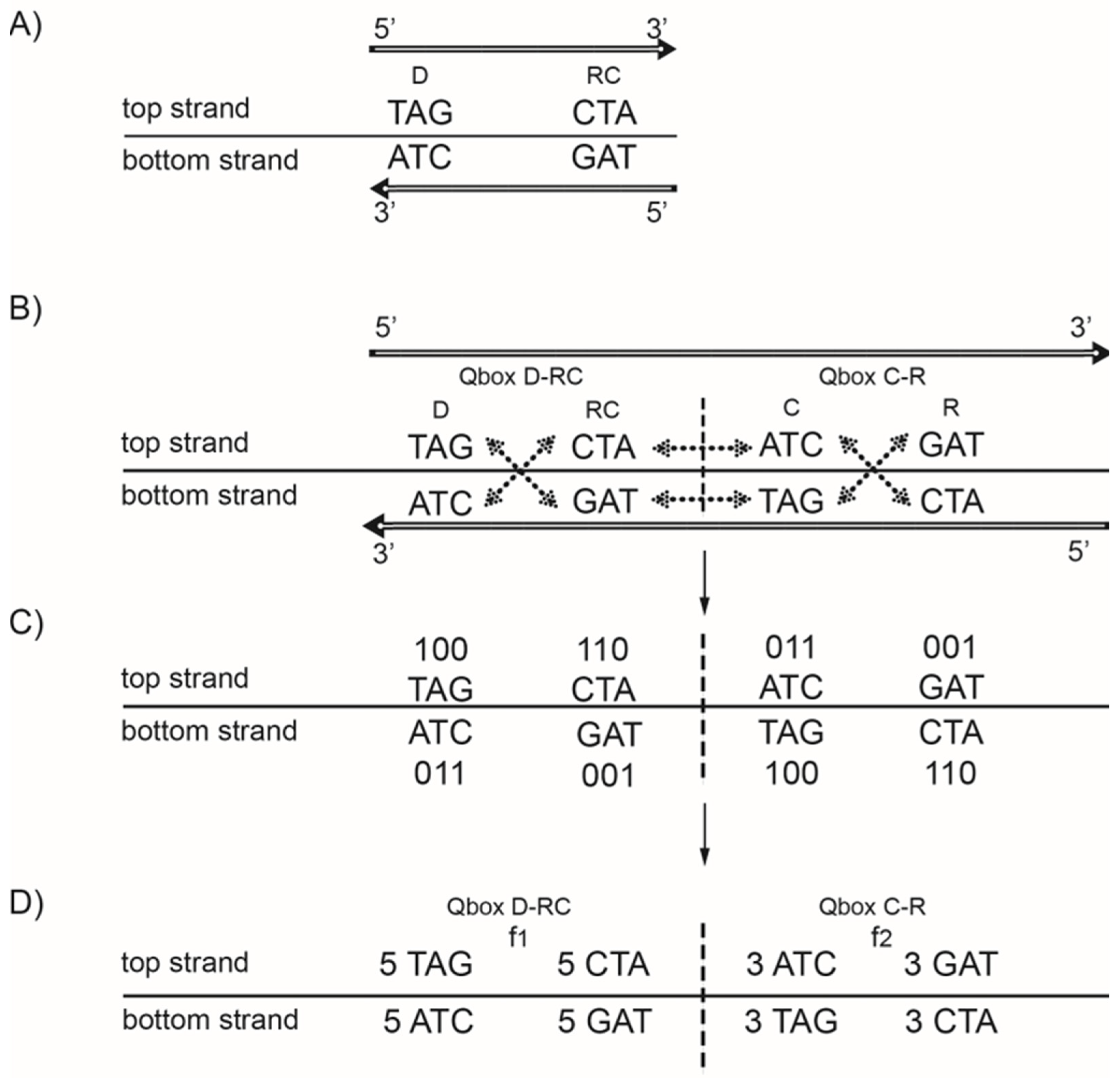 Genes 13 01929 g002 Genes 13 01929 g002