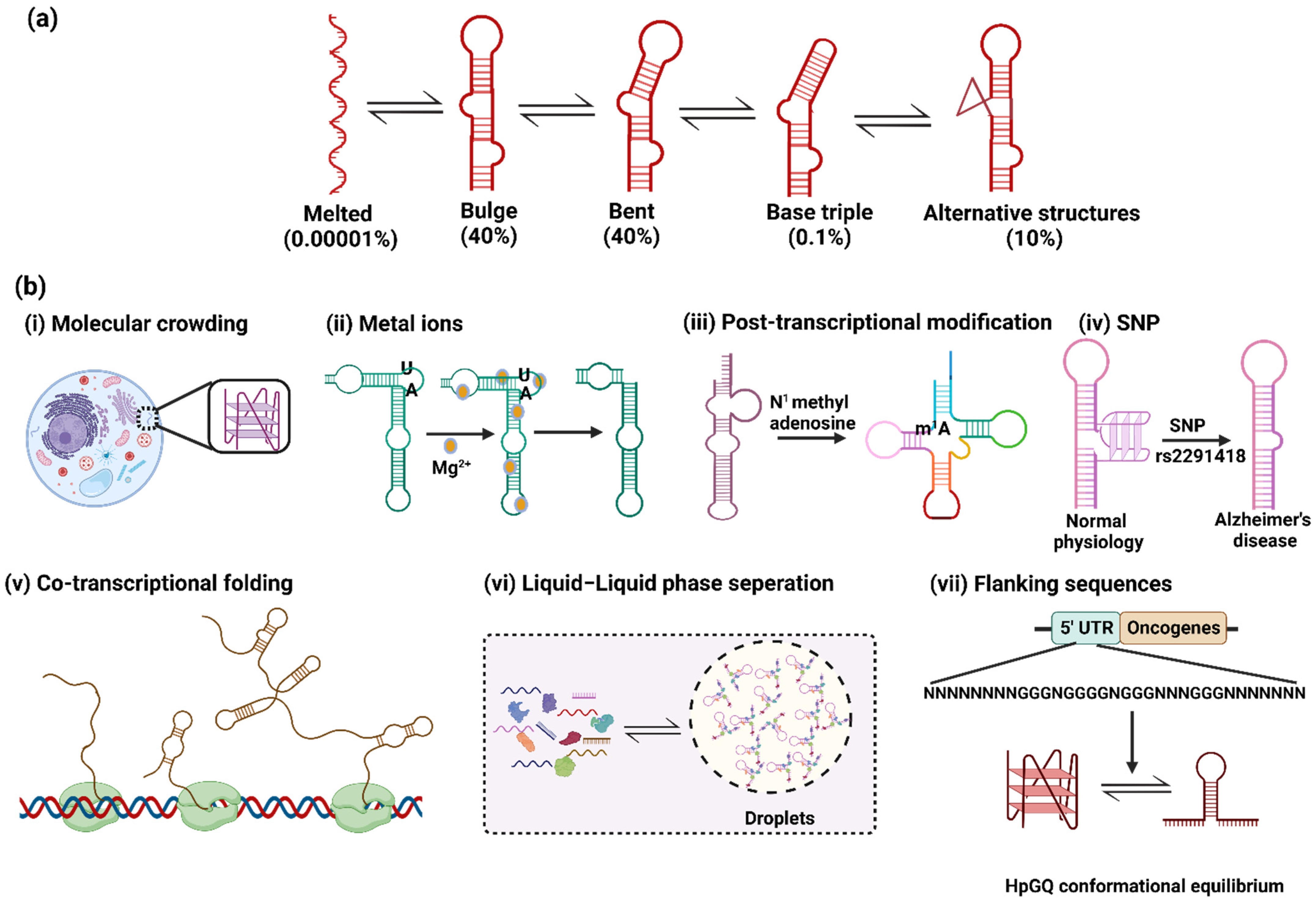Genes 13 01930 g002 Genes 13 01930 g002