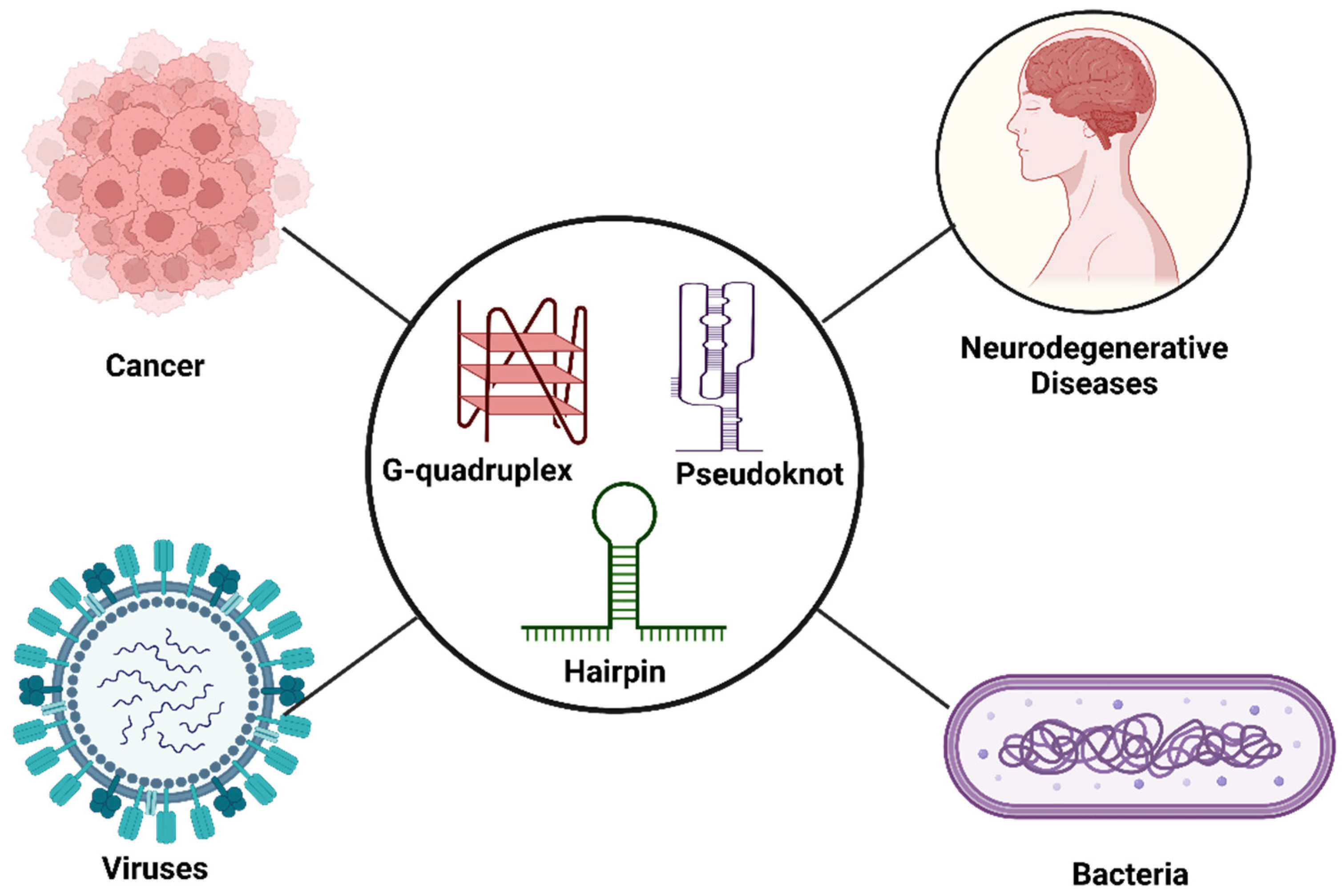 Genes 13 01930 g003 Genes 13 01930 g003
