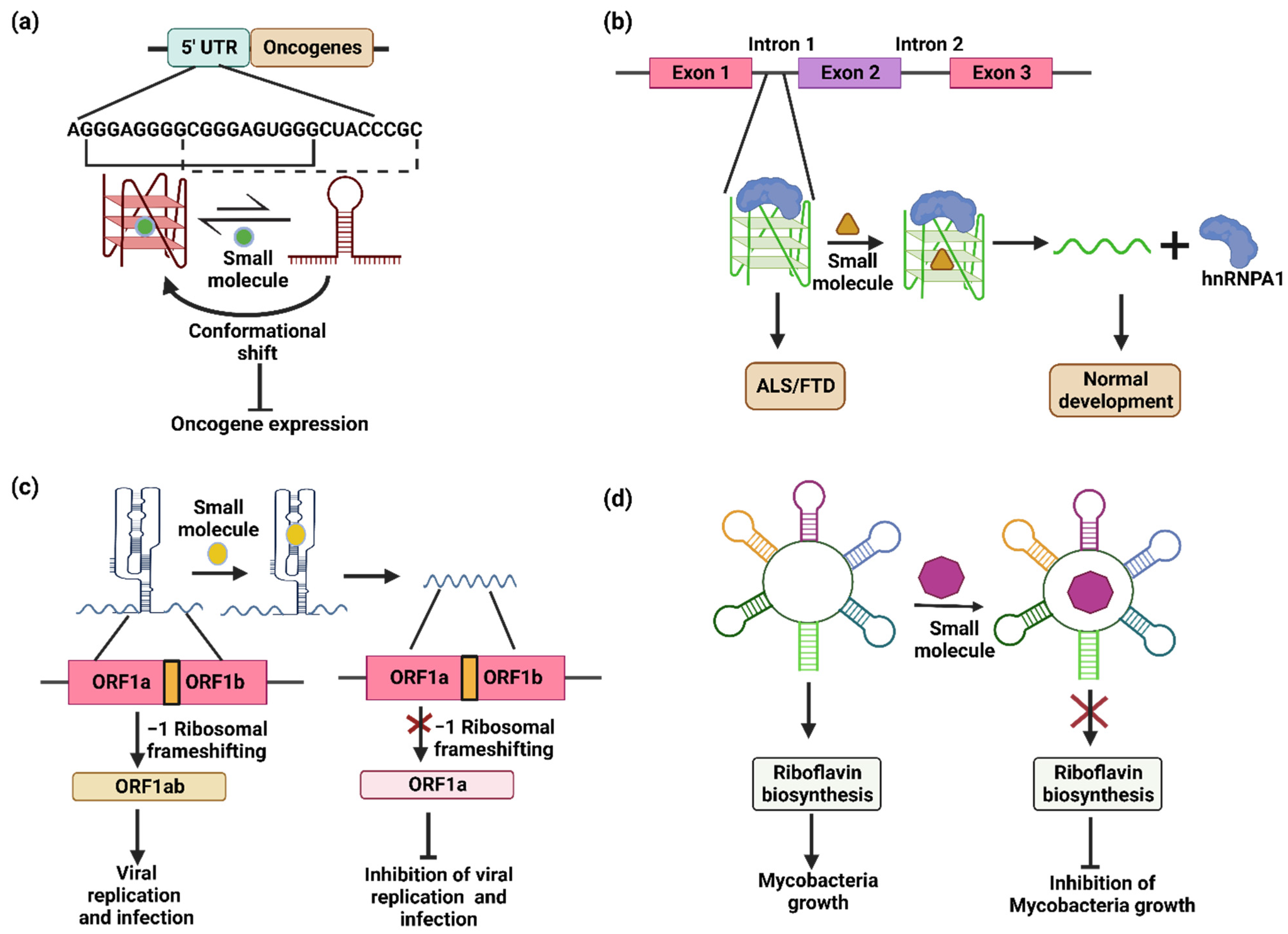 Genes 13 01930 g004 Genes 13 01930 g004