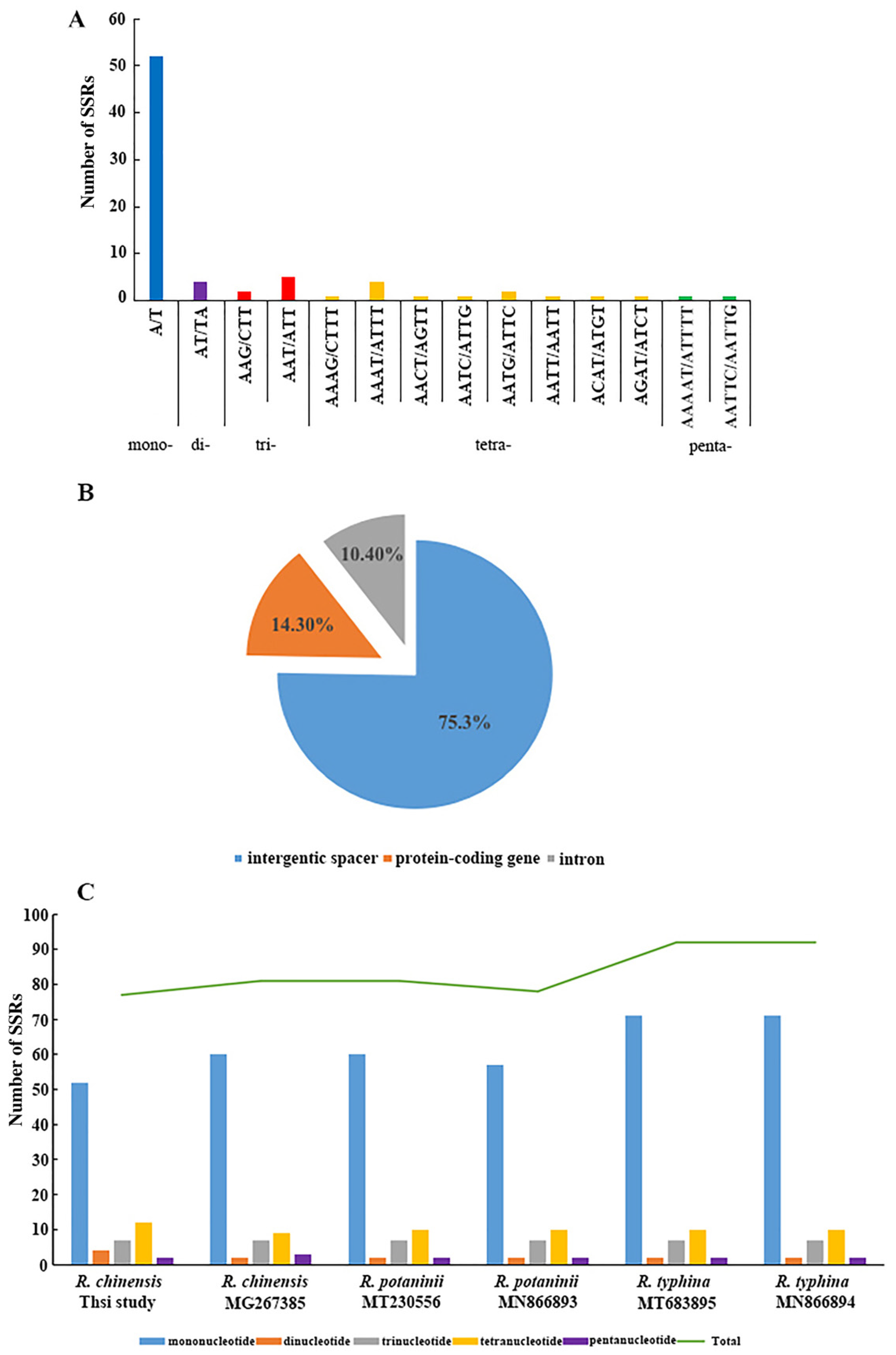Genes 13 01936 g003