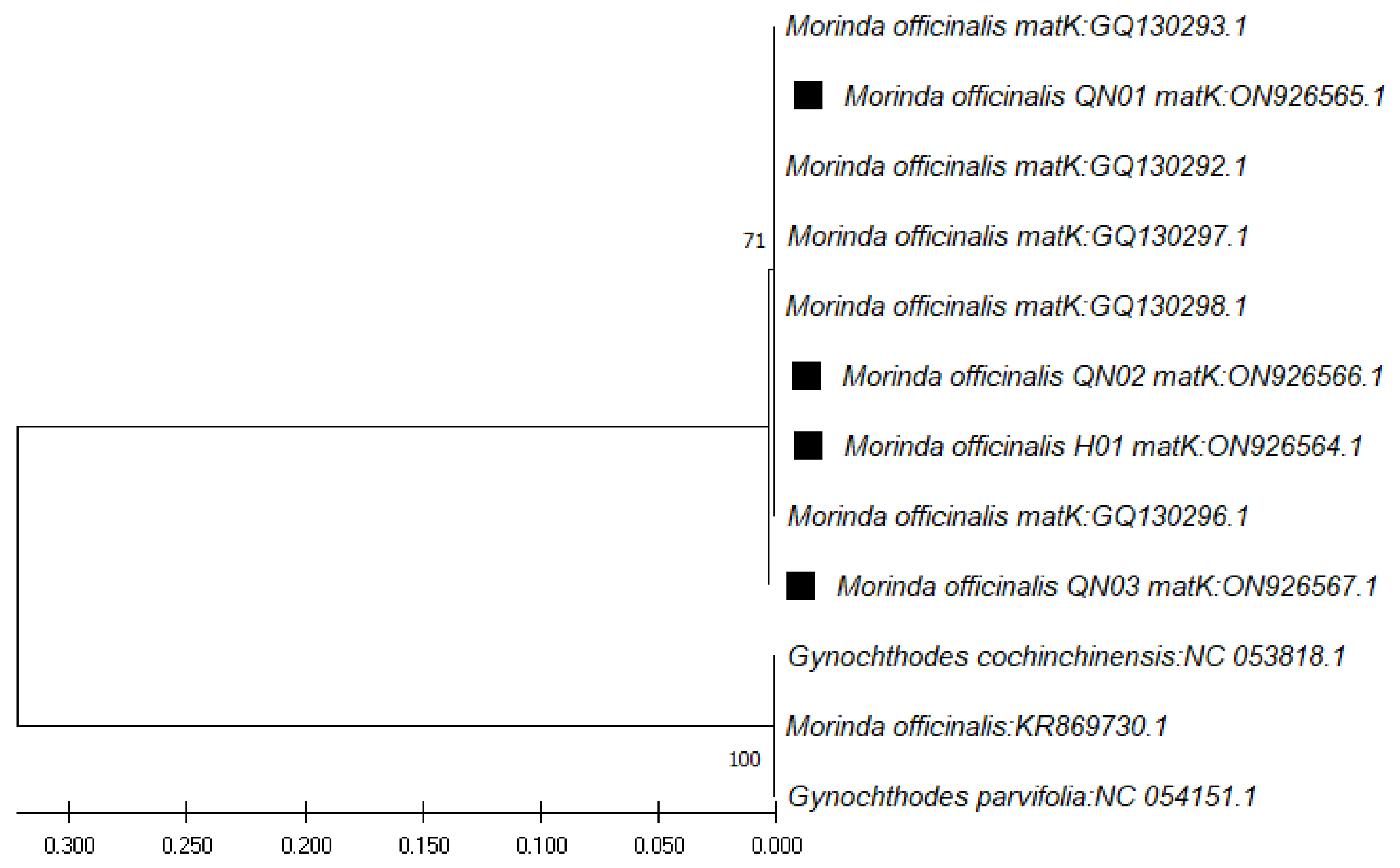 Genes 13 01938 g004