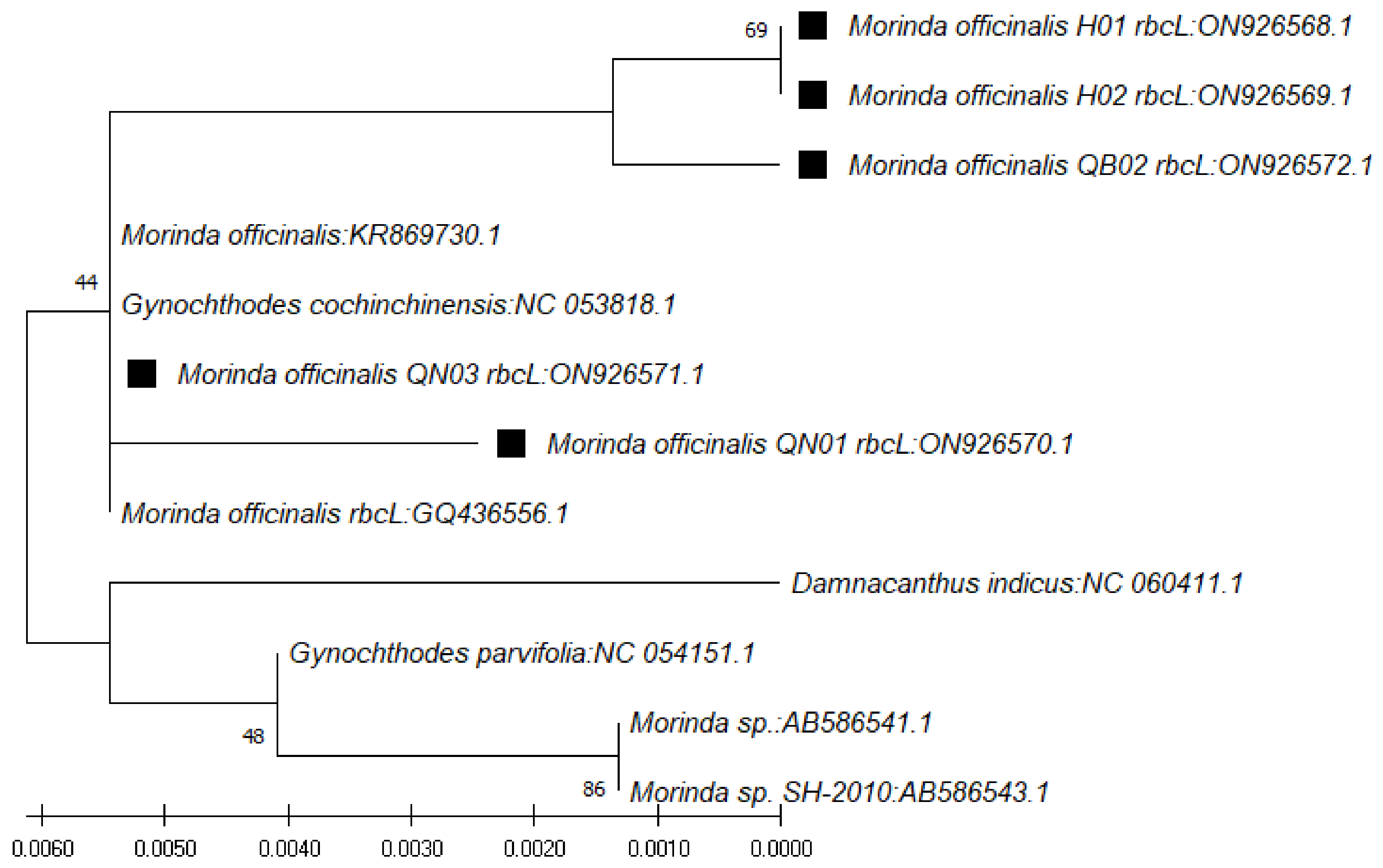 Genes 13 01938 g005