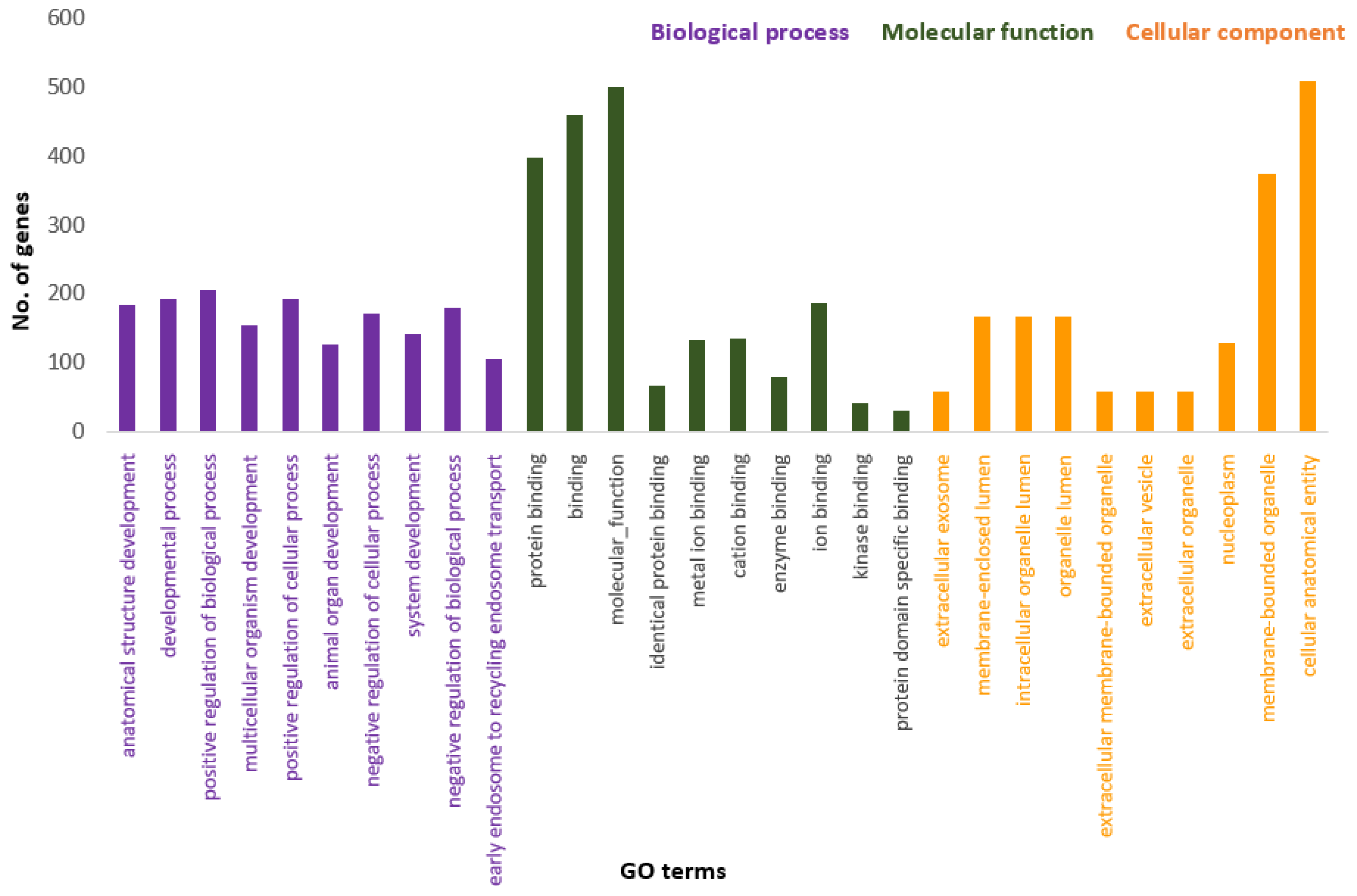 Genes 13 01939 g004 Genes 13 01939 g004