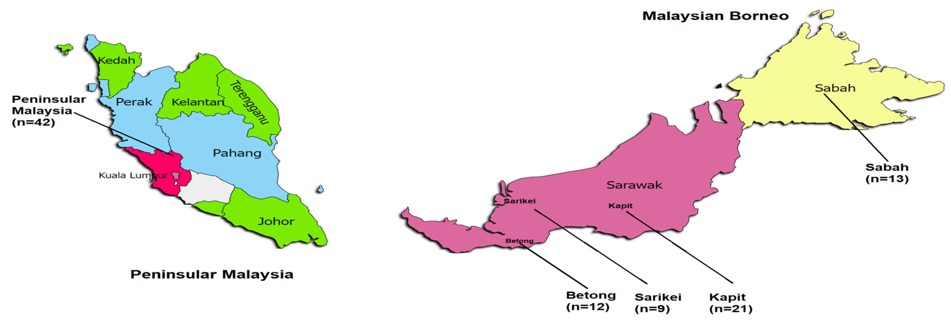 Genes 13 01944 g001 Genes 13 01944 g001