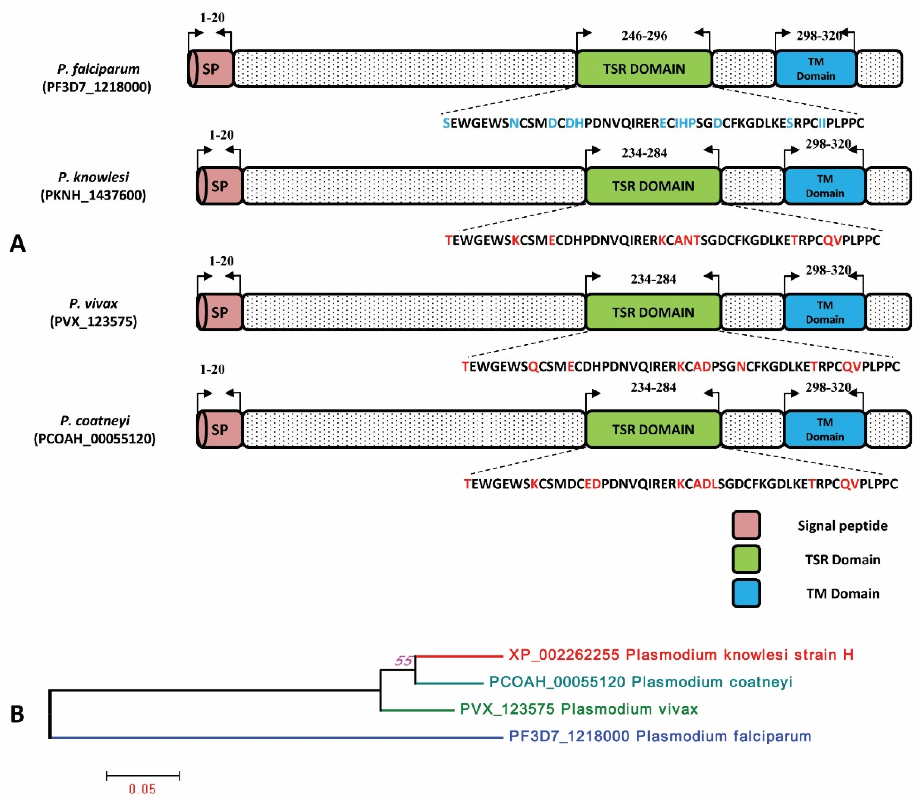 Genes 13 01944 g002 Genes 13 01944 g002