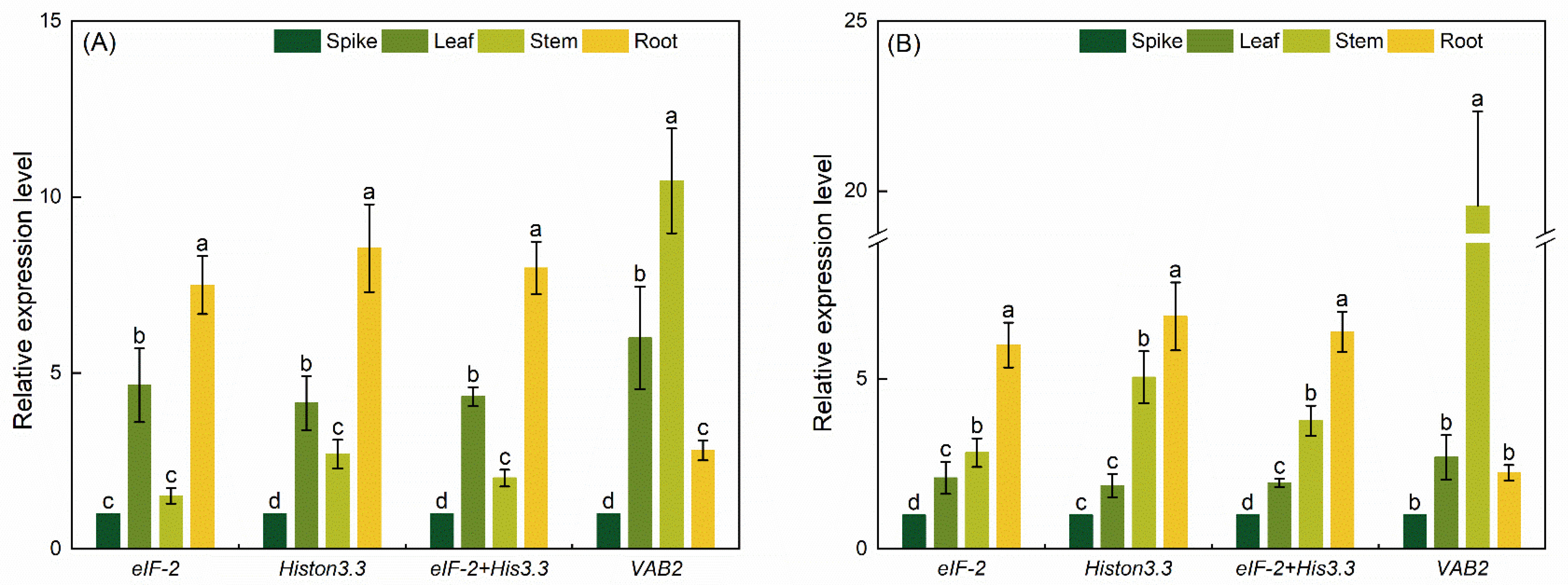 Genes 13 01947 g006