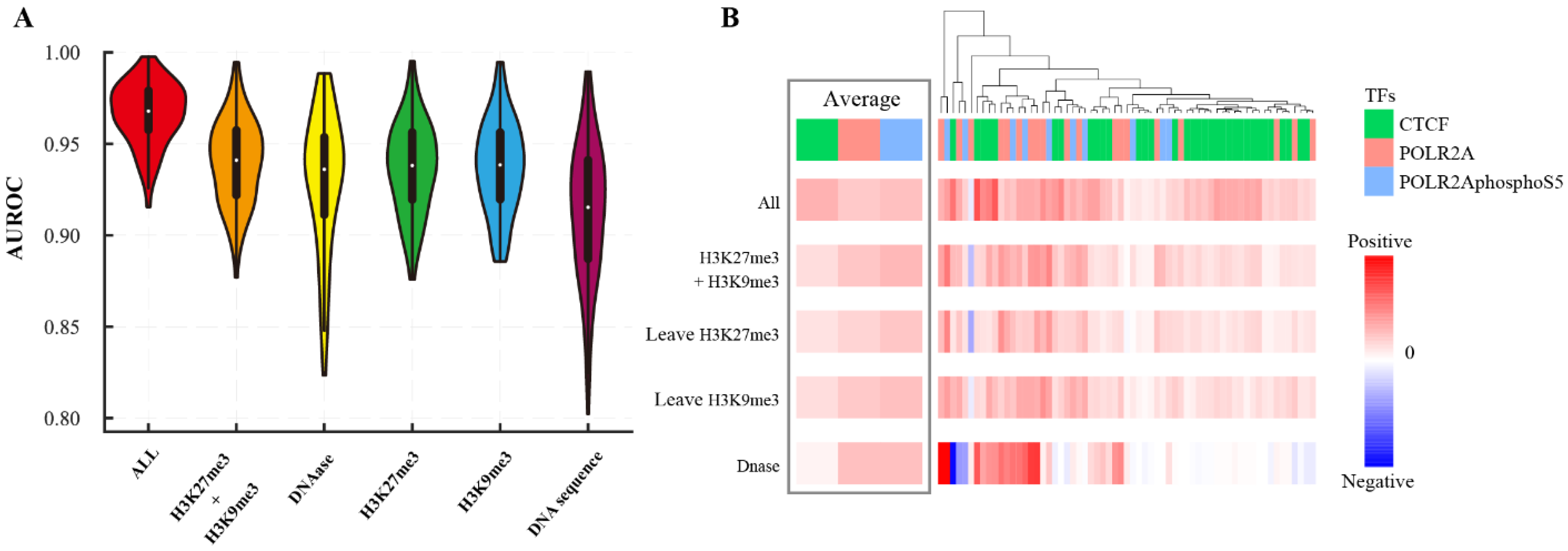 Genes 13 01952 g005 Genes 13 01952 g005