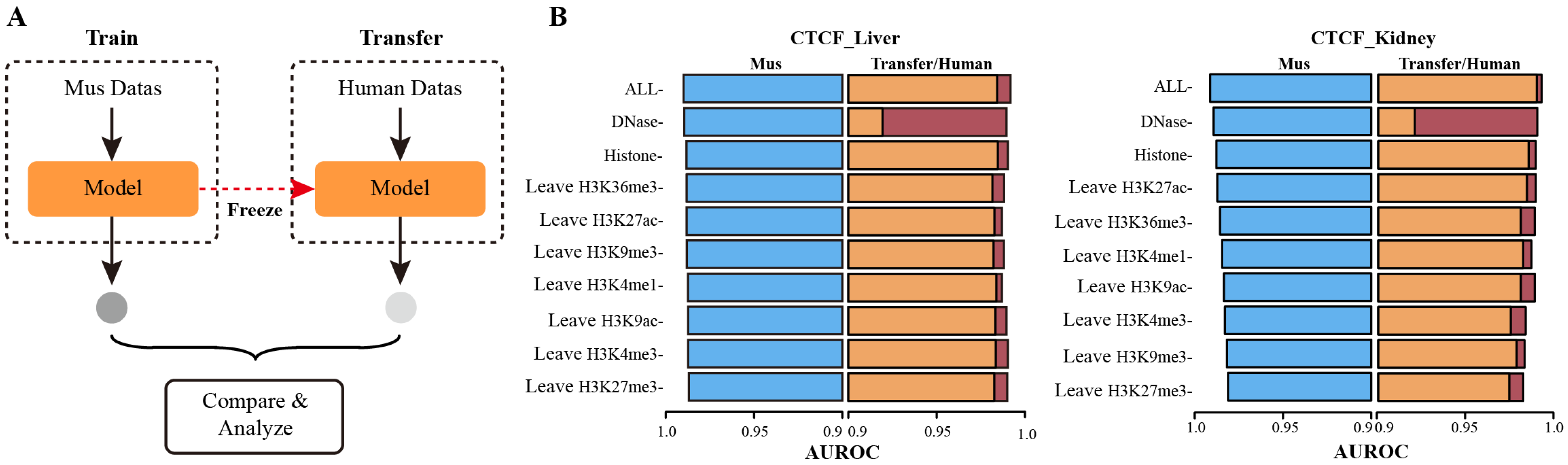 Genes 13 01952 g006 Genes 13 01952 g006