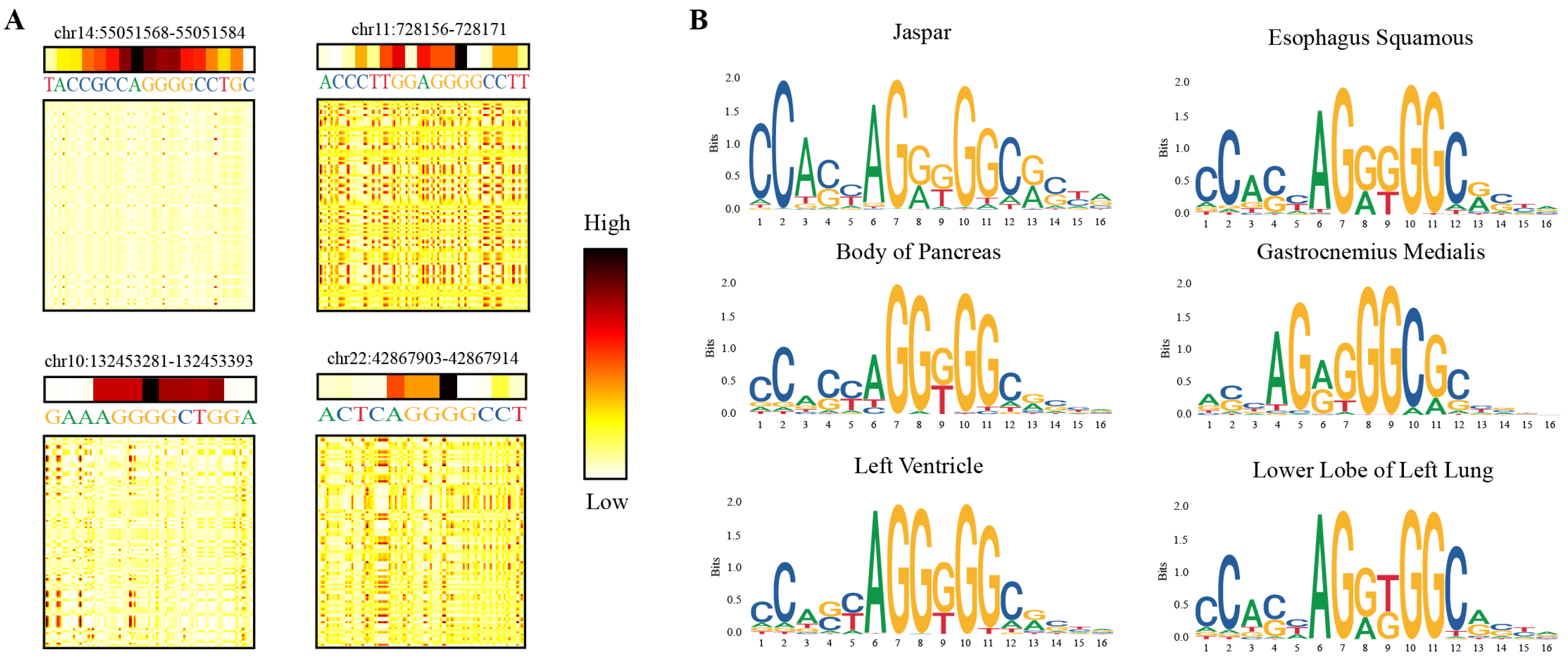 Genes 13 01952 g007 Genes 13 01952 g007