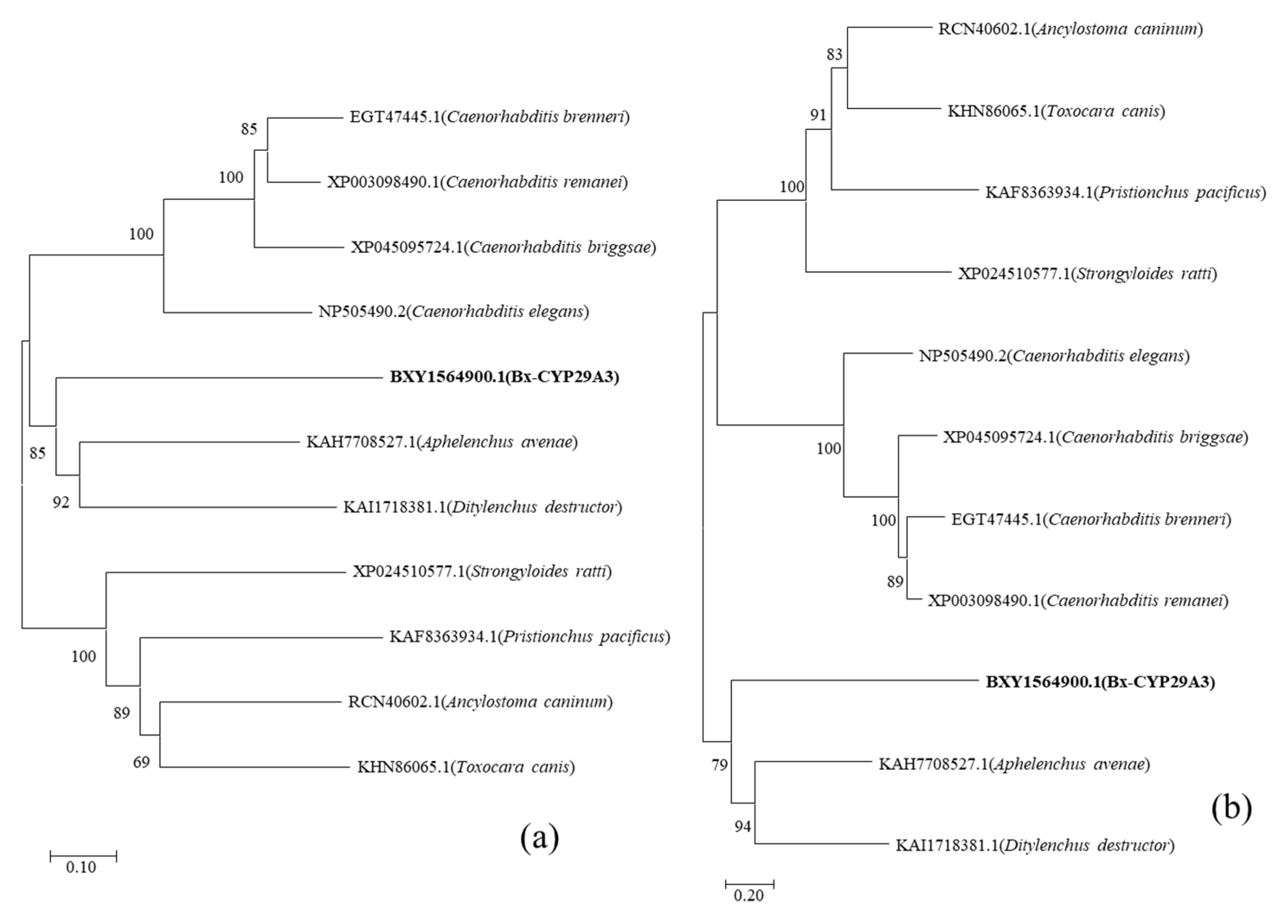 Genes 13 01956 g001 Genes 13 01956 g001
