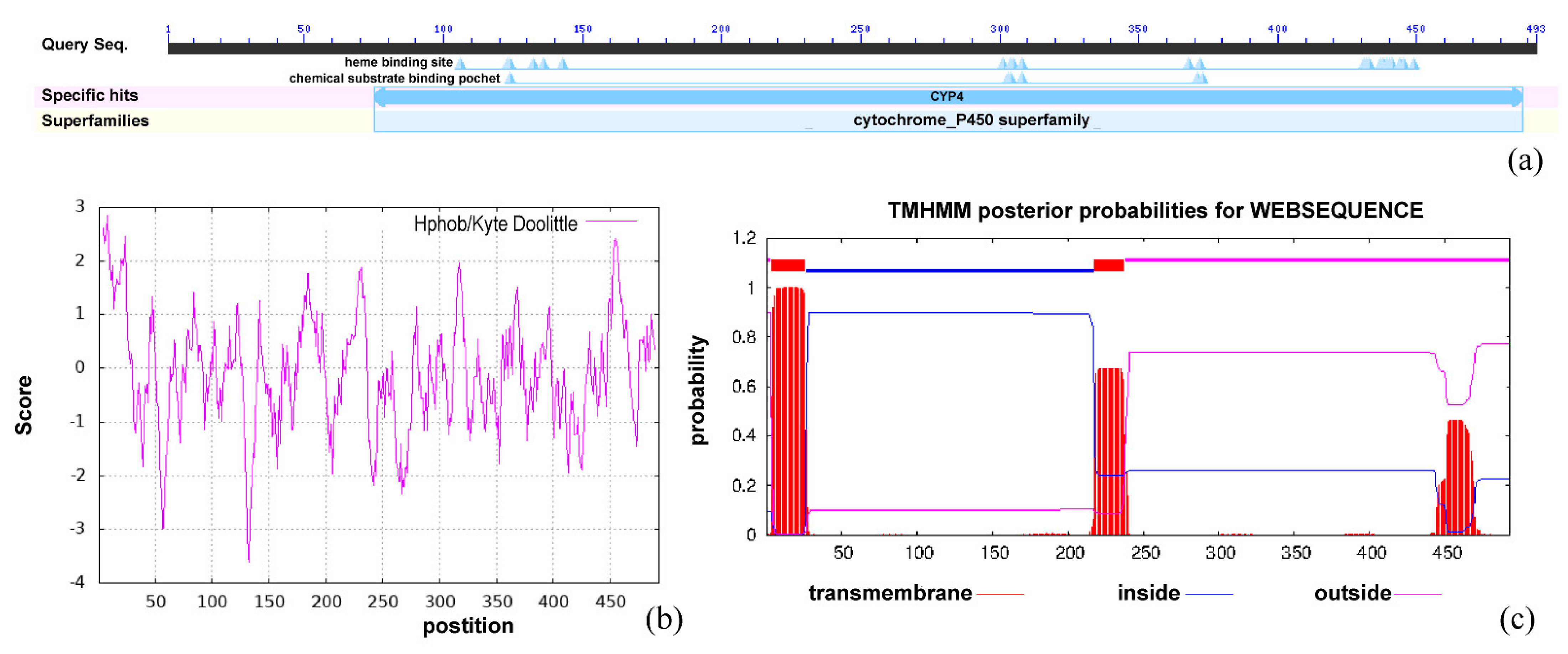 Genes 13 01956 g002 Genes 13 01956 g002