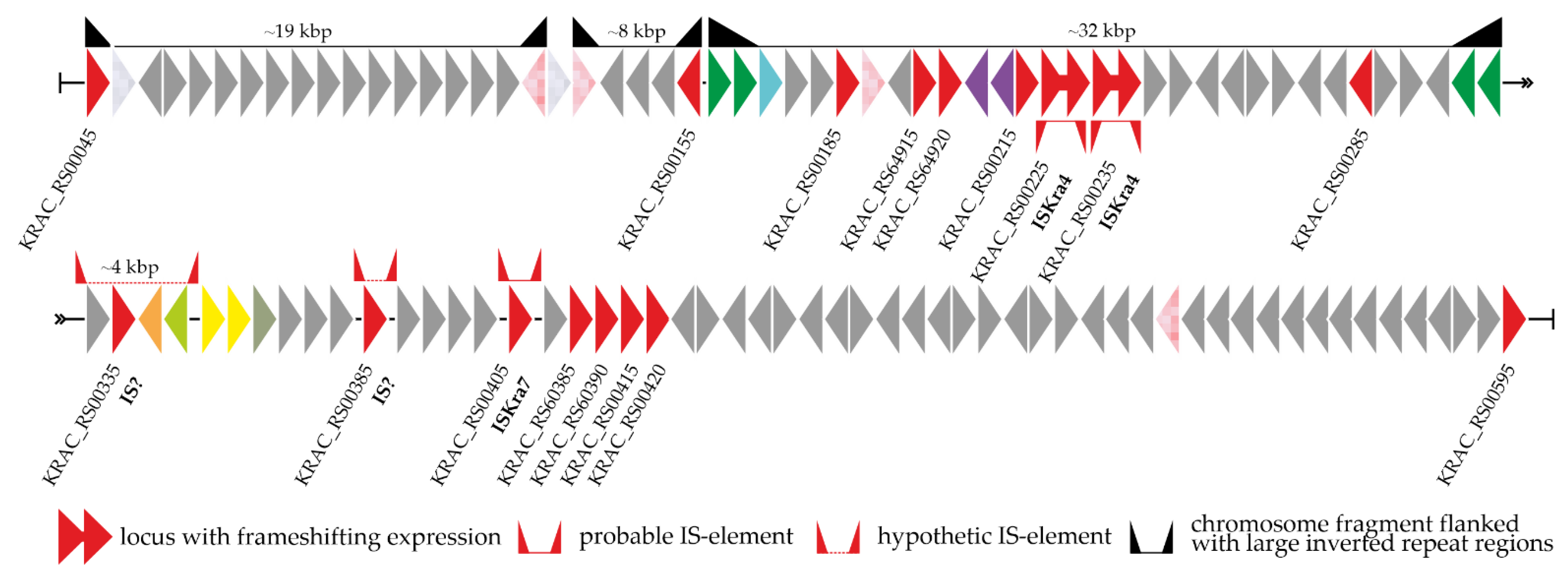 Genes 13 01960 g002 Genes 13 01960 g002
