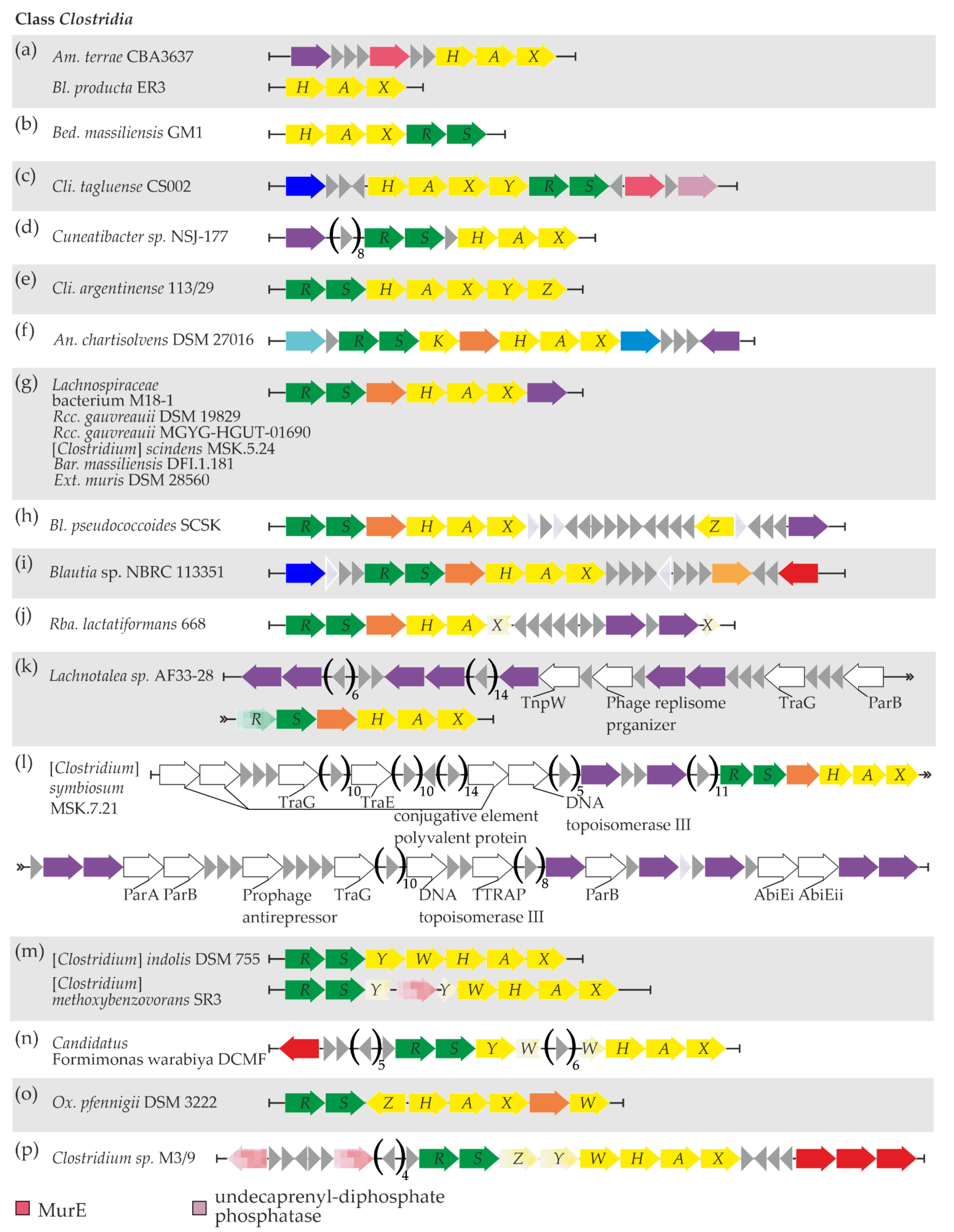 Genes 13 01960 g004 Genes 13 01960 g004