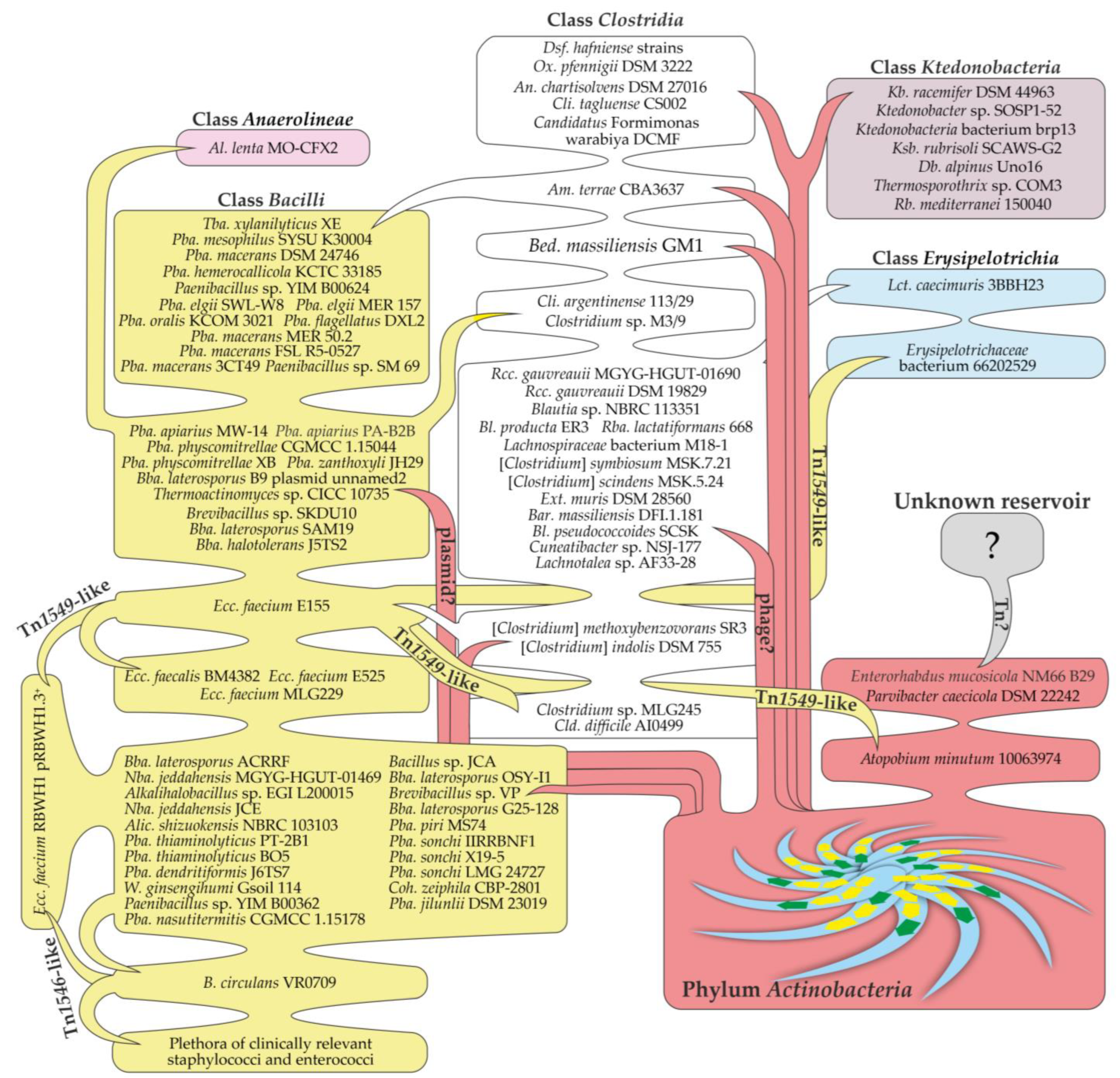 Genes 13 01960 g006 Genes 13 01960 g006