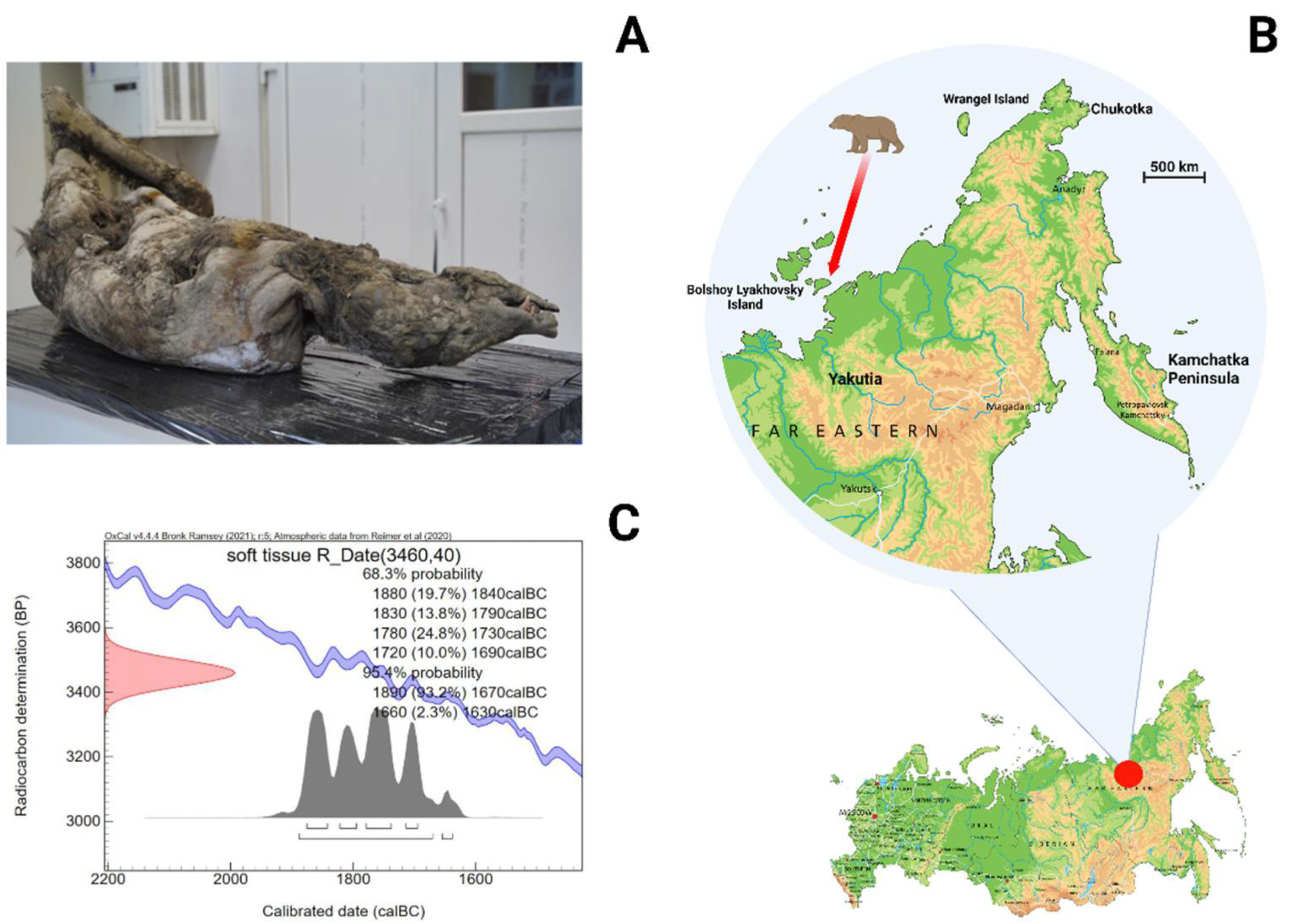 Genes 13 01961 g001 Genes 13 01961 g001