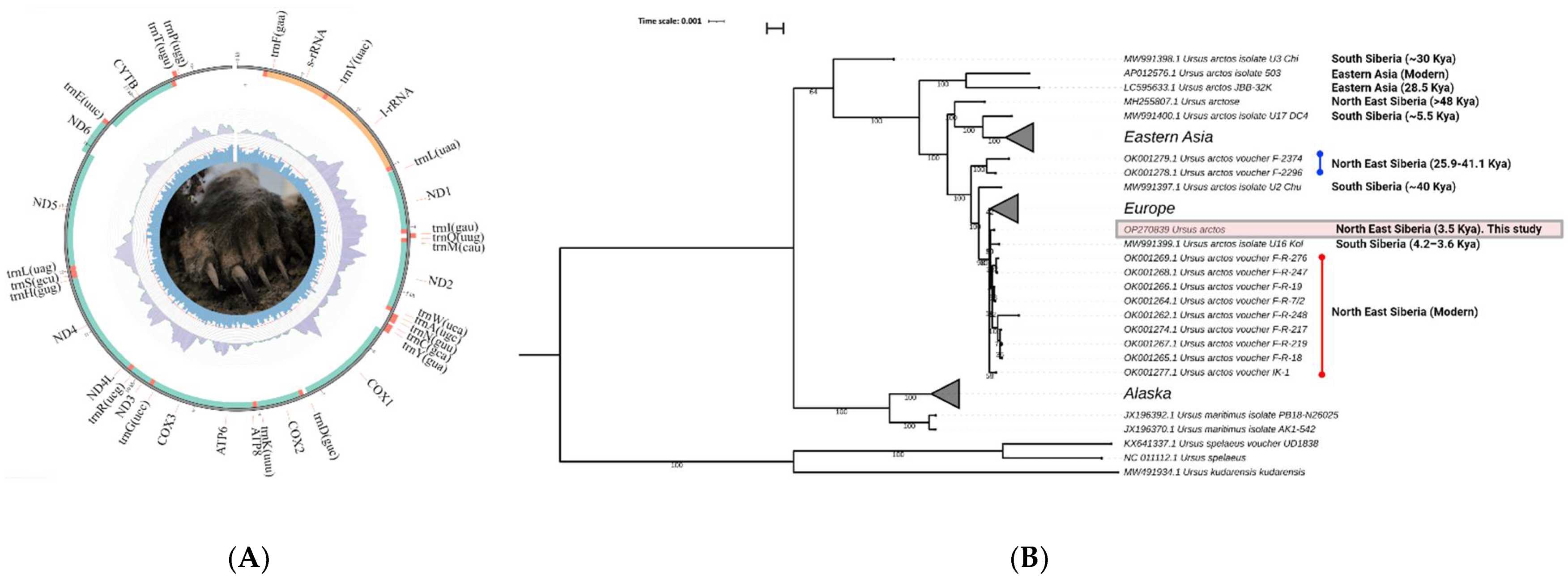 Genes 13 01961 g002 Genes 13 01961 g002
