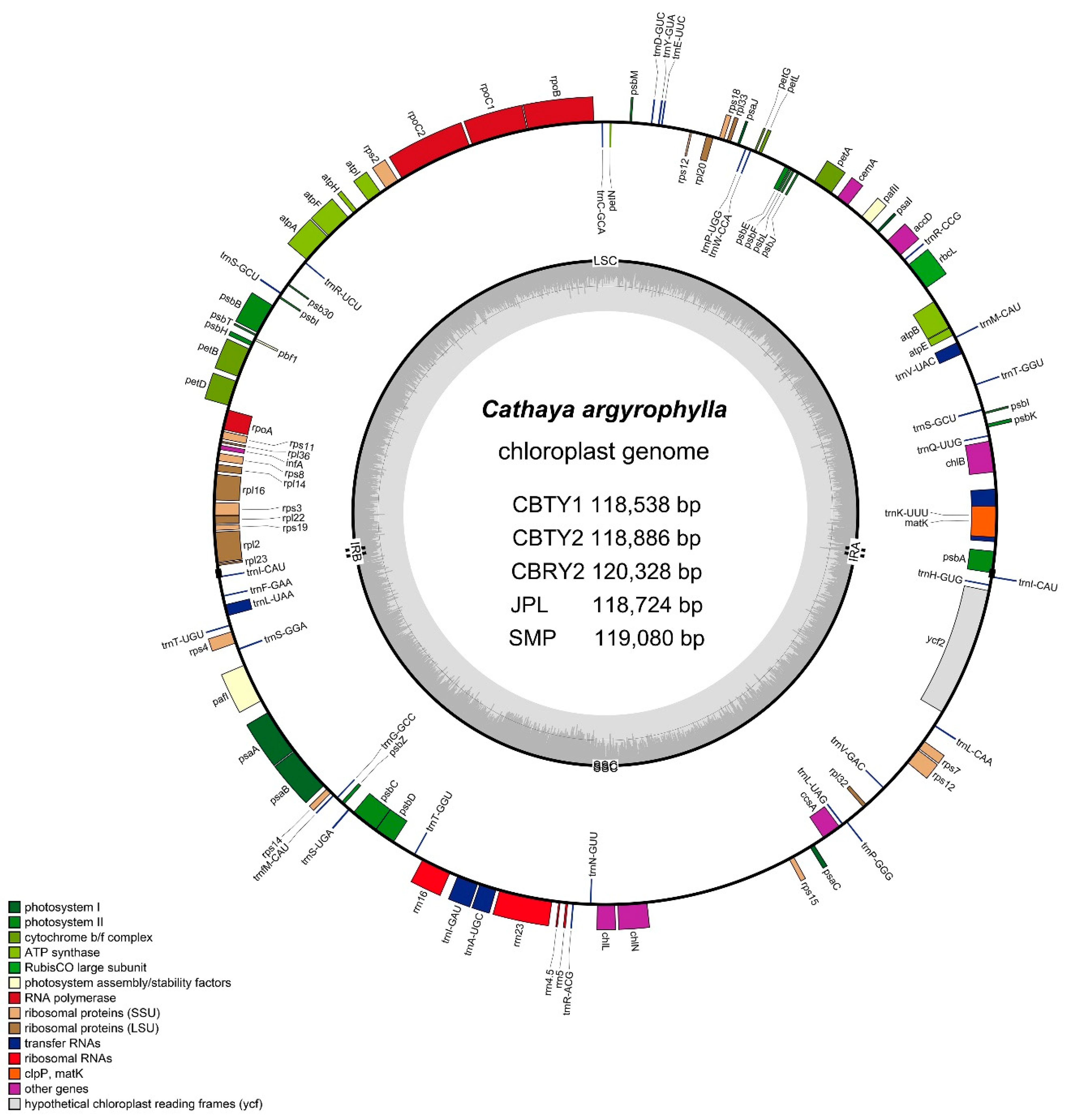 Genes 13 01963 g002 Genes 13 01963 g002