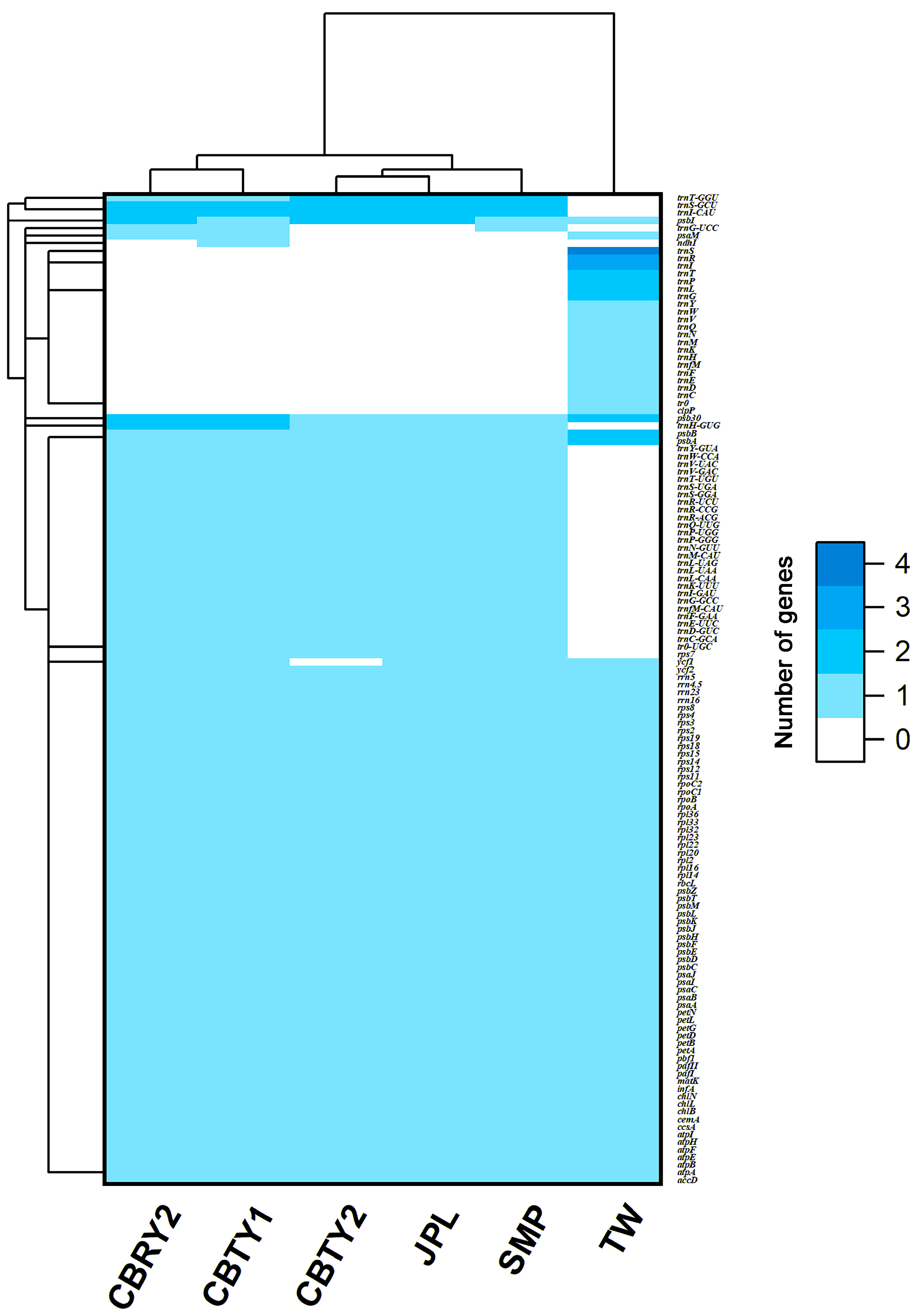 Genes 13 01963 g003 Genes 13 01963 g003